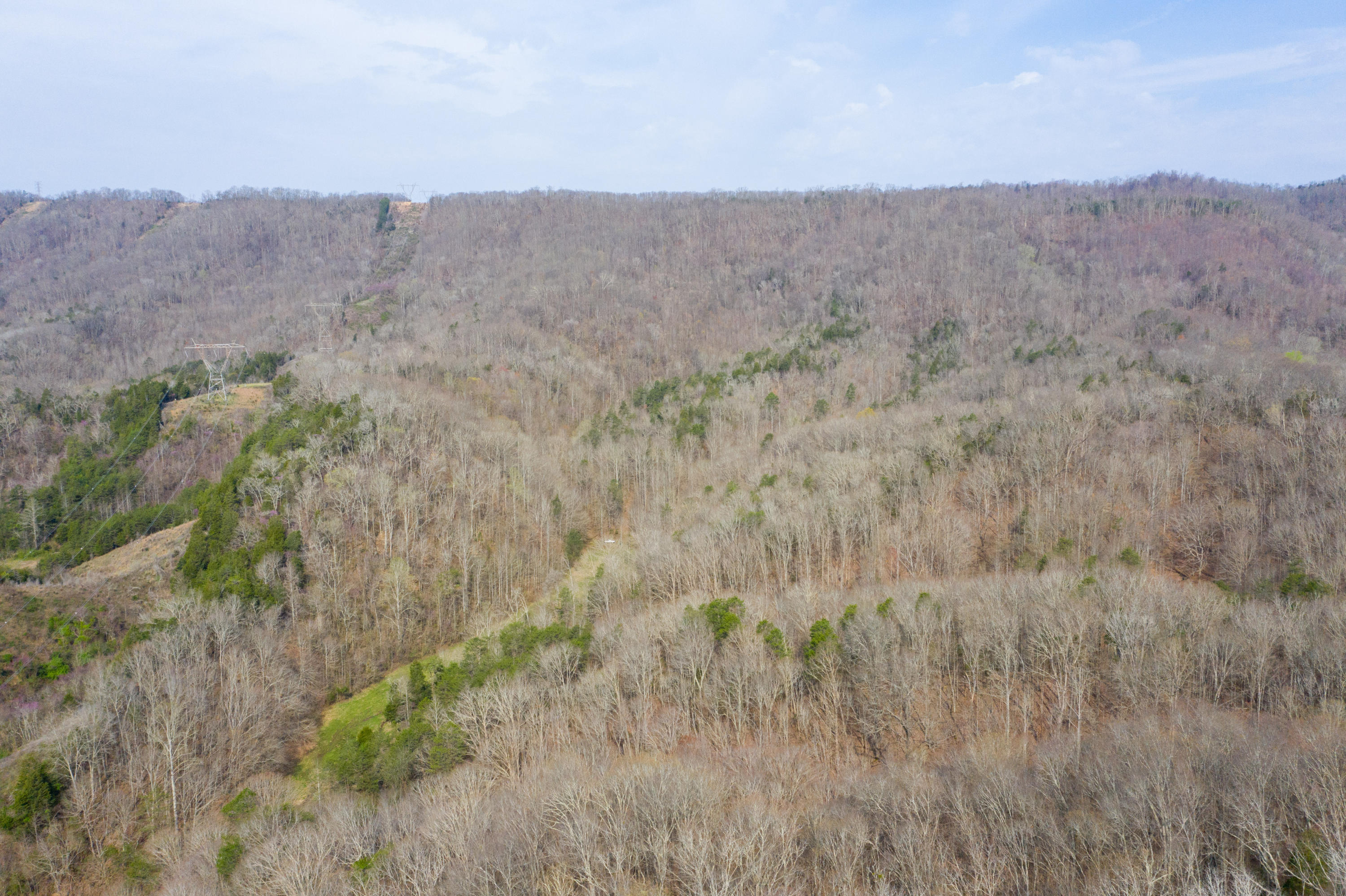 0 Bays Mtn Road Afton, TN 37616 - Photo 1 of 51 Baileyton Drone-1