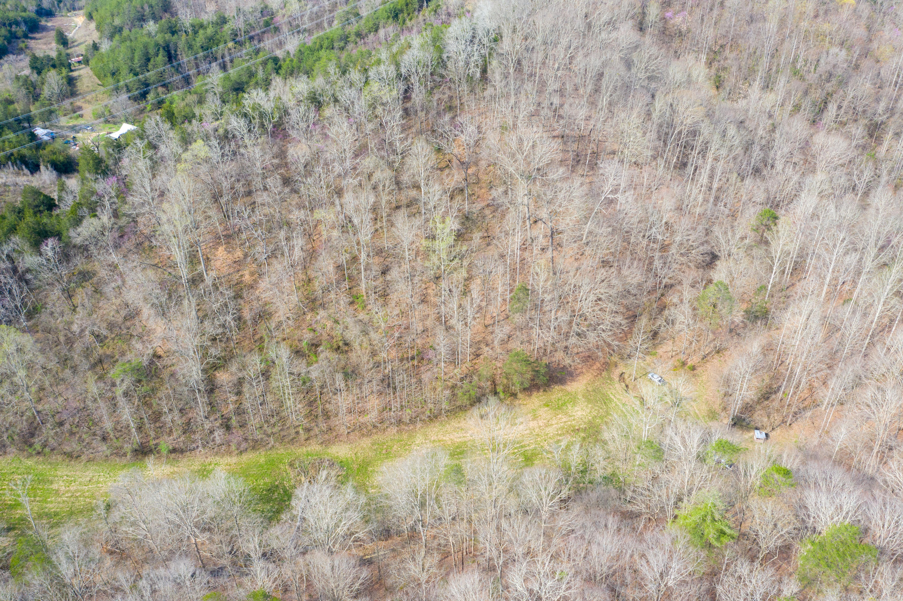 0 Bays Mtn Road Afton, TN 37616 - Photo 12 of 51 Baileyton Drone-13