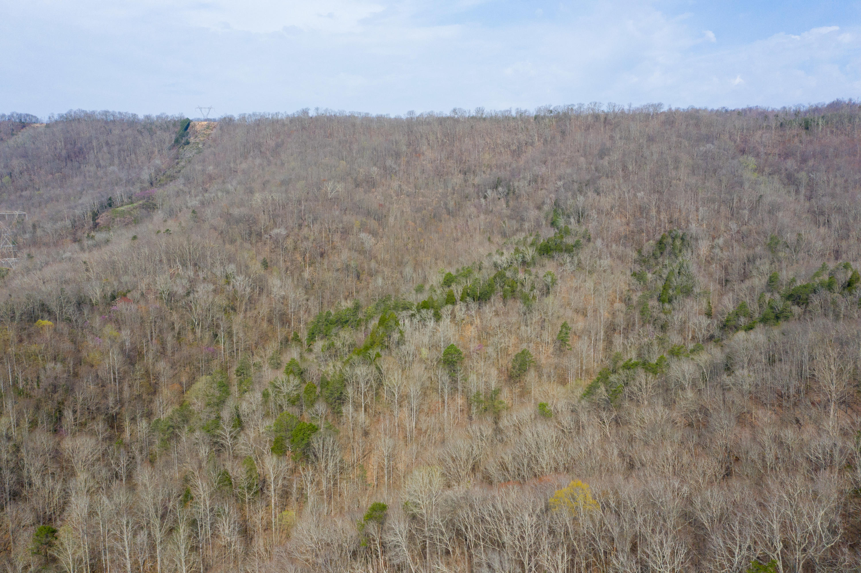 0 Bays Mtn Road Afton, TN 37616 - Photo 13 of 51 Baileyton Drone-14