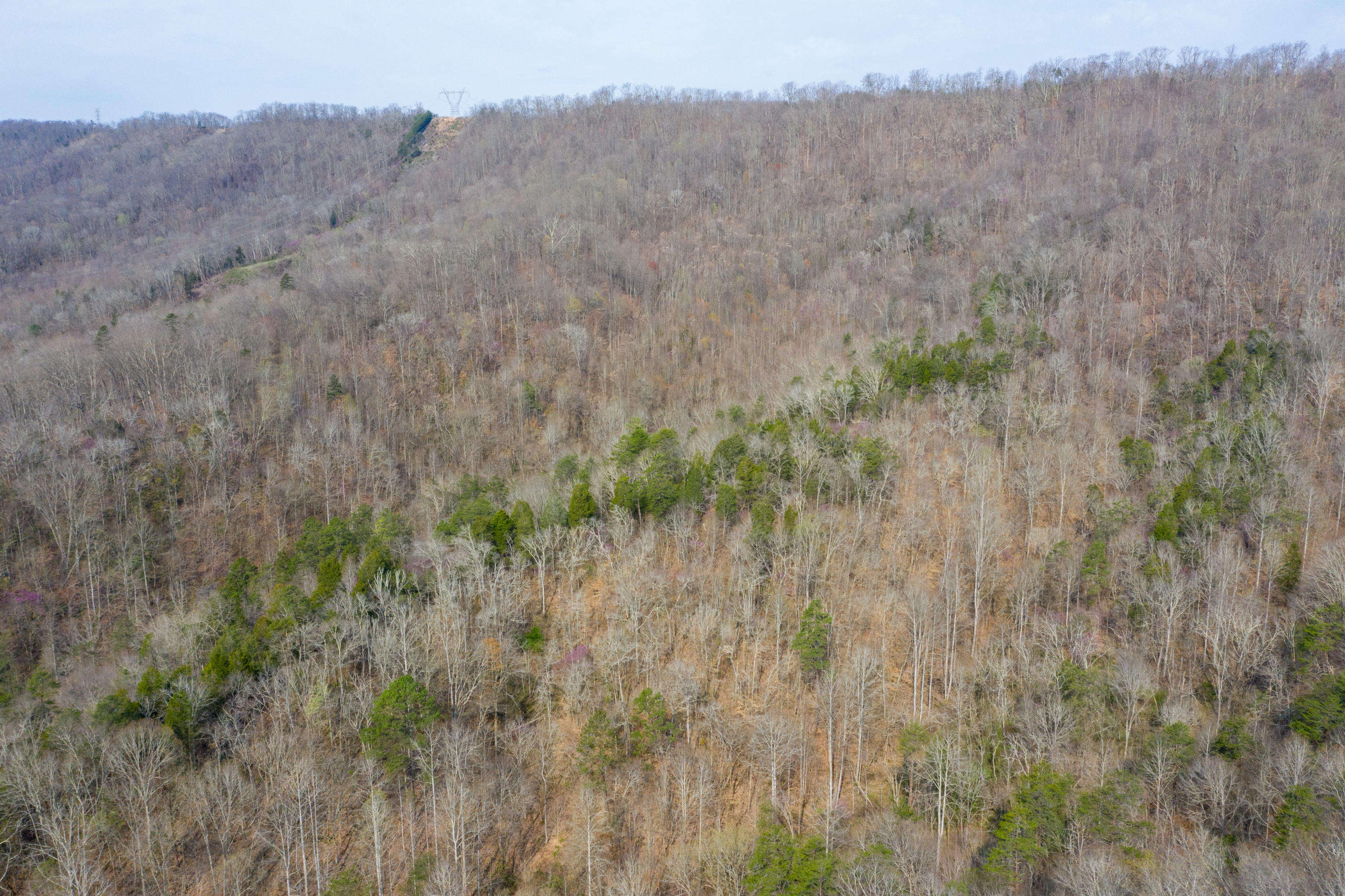 0 Bays Mtn Road Afton, TN 37616 - Photo 14 of 51 Baileyton Drone-15