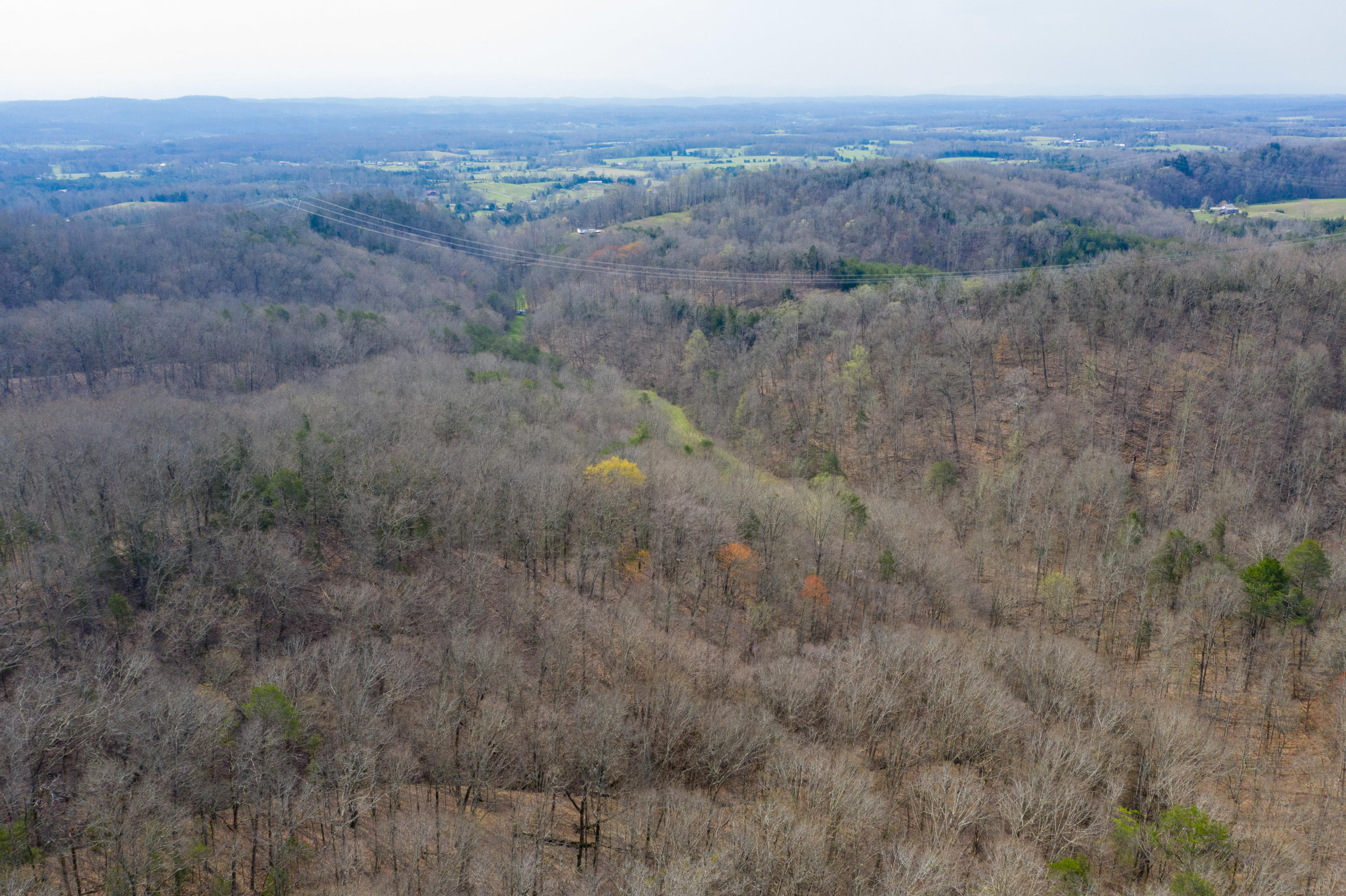 0 Bays Mtn Road Afton, TN 37616 - Photo 15 of 51 Baileyton Drone-16