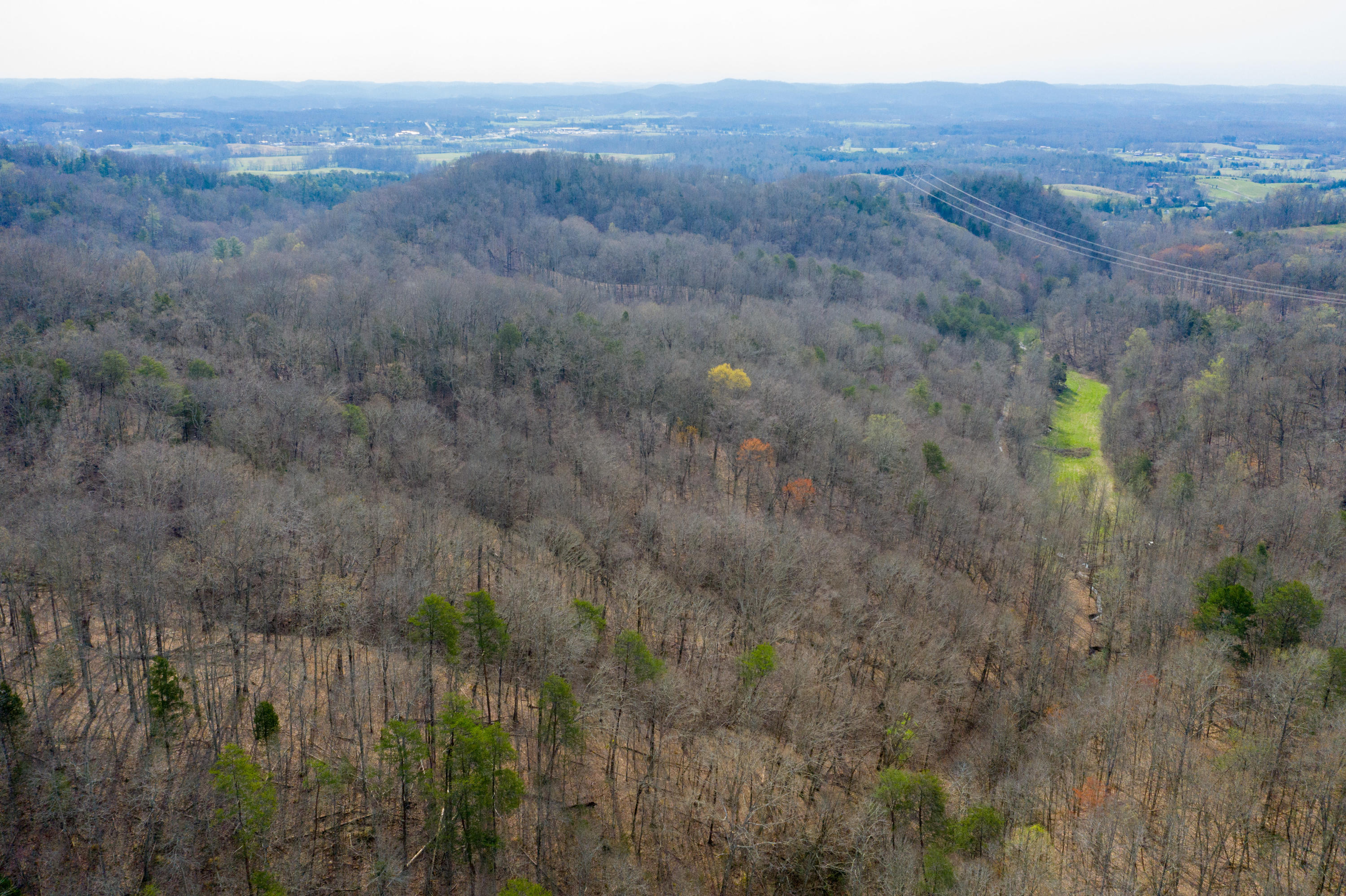 0 Bays Mtn Road Afton, TN 37616 - Photo 17 of 51 Baileyton Drone-18