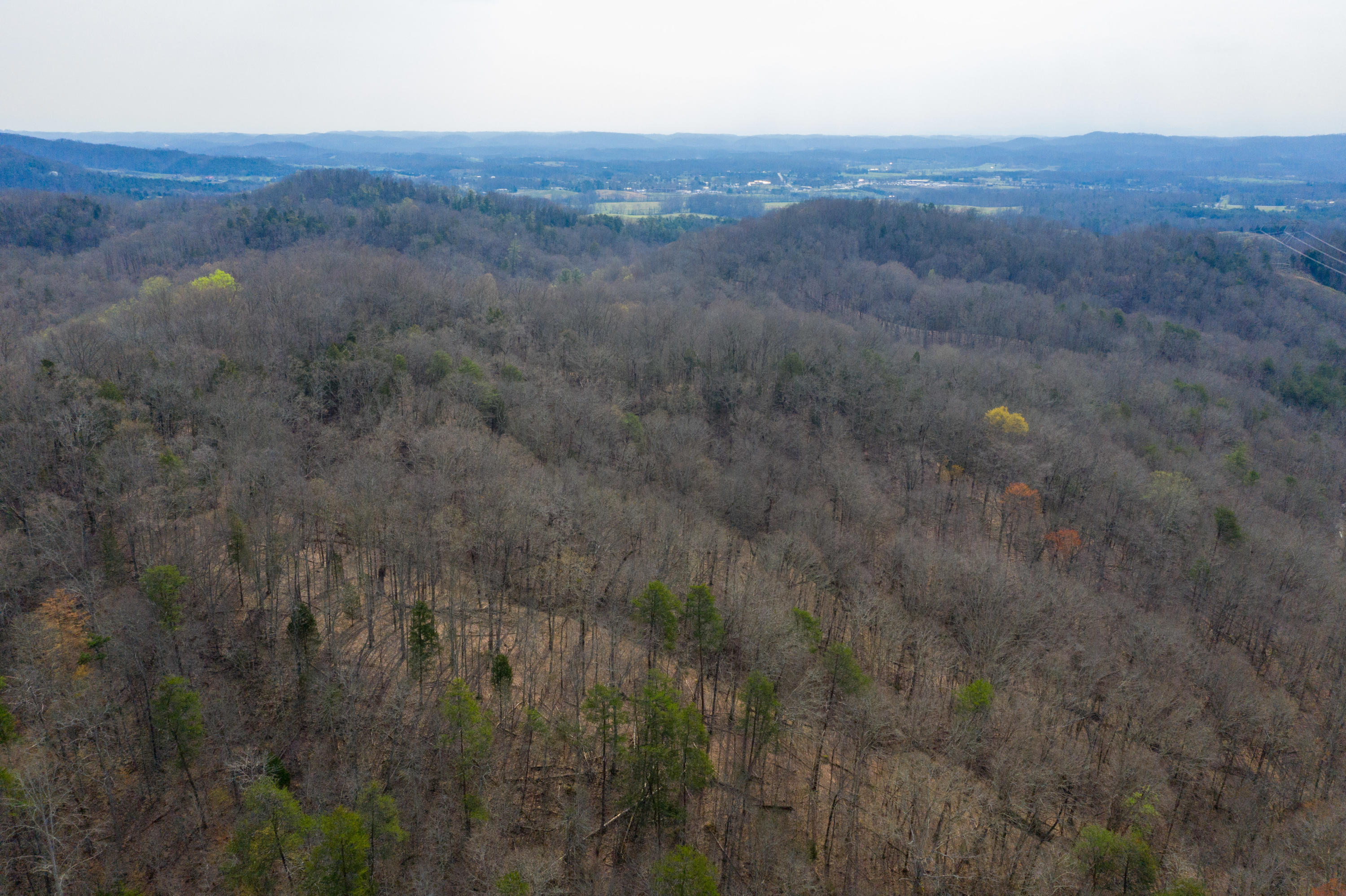 0 Bays Mtn Road Afton, TN 37616 - Photo 18 of 51 Baileyton Drone-19