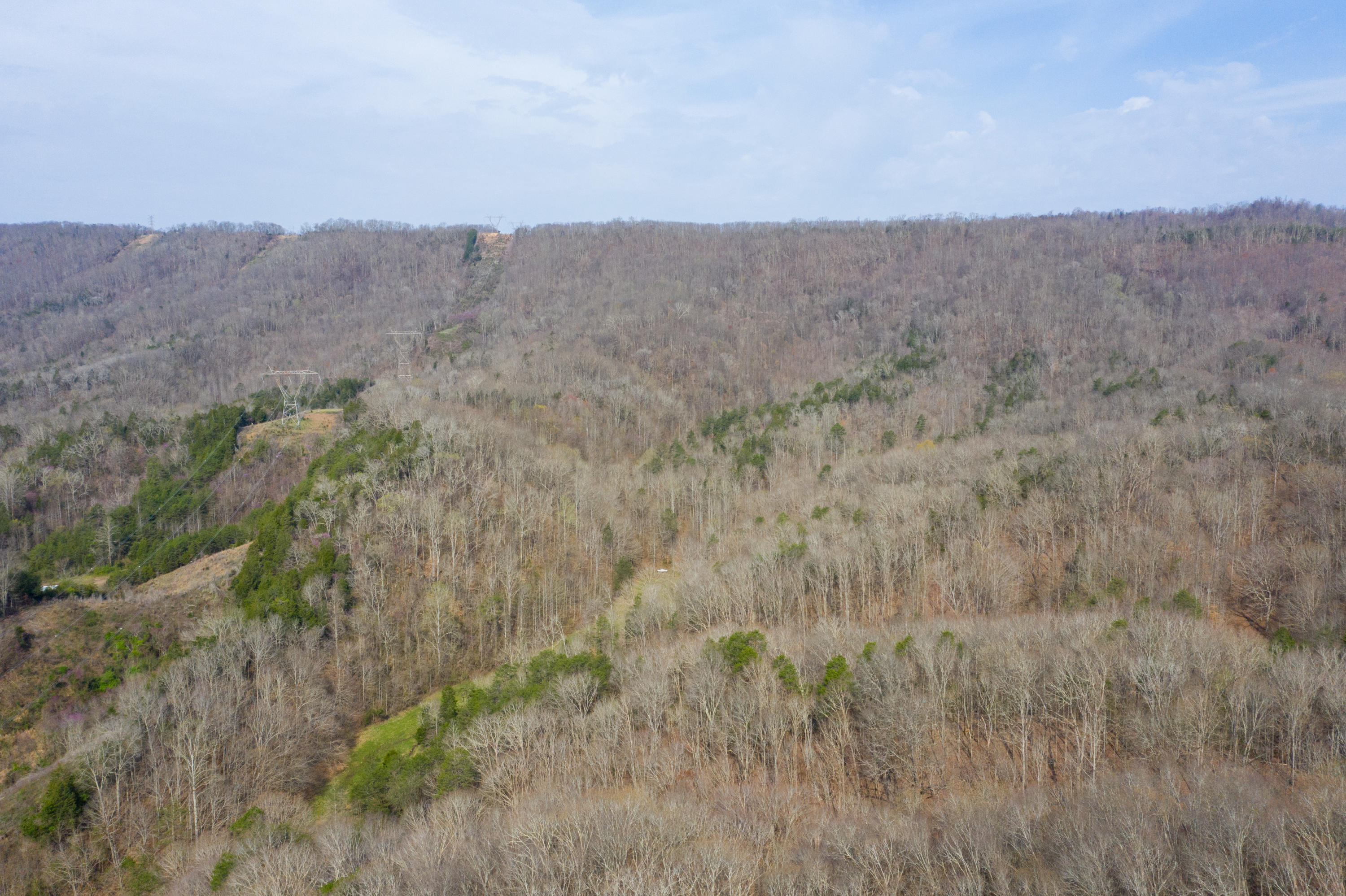 0 Bays Mtn Road Afton, TN 37616 - Photo 2 of 51 Baileyton Drone-2