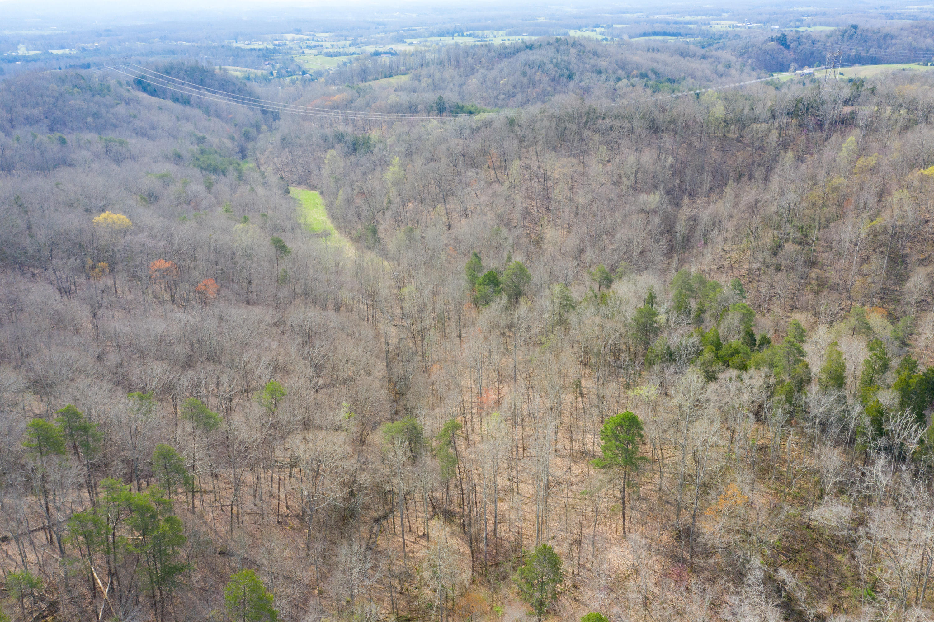 0 Bays Mtn Road Afton, TN 37616 - Photo 21 of 51 Baileyton Drone-22