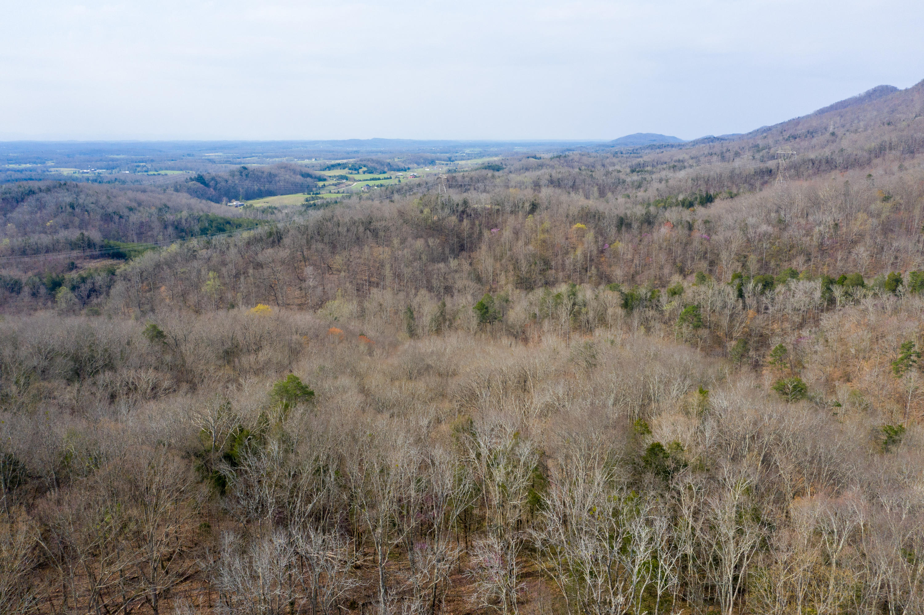 0 Bays Mtn Road Afton, TN 37616 - Photo 23 of 51 Baileyton Drone-24