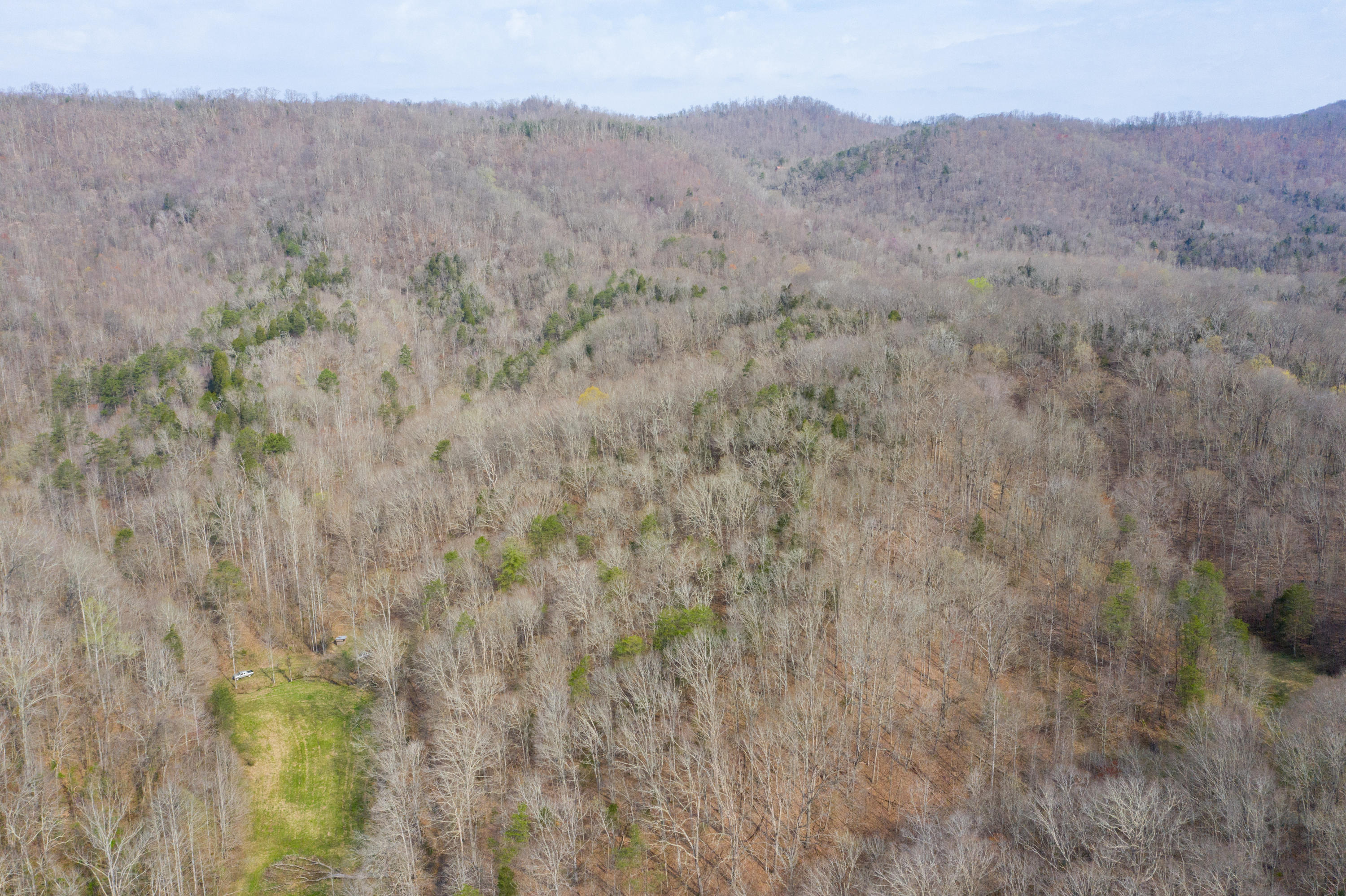 0 Bays Mtn Road Afton, TN 37616 - Photo 24 of 51 Baileyton Drone-25