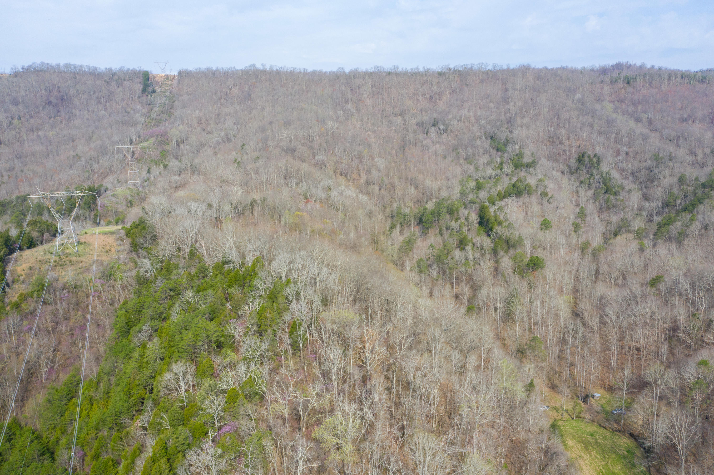 0 Bays Mtn Road Afton, TN 37616 - Photo 26 of 51 Baileyton Drone-27