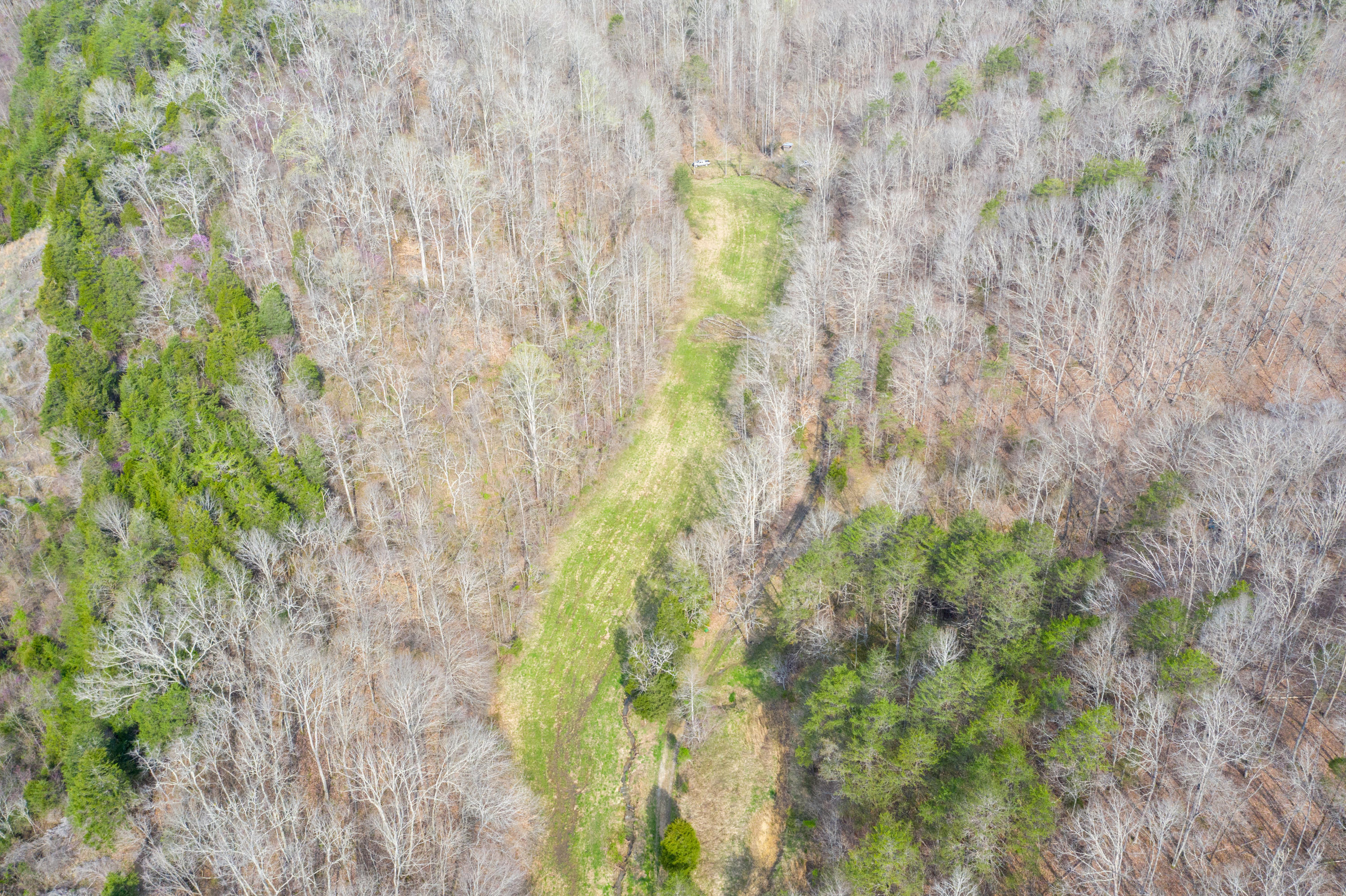 0 Bays Mtn Road Afton, TN 37616 - Photo 28 of 51 Baileyton Drone-29