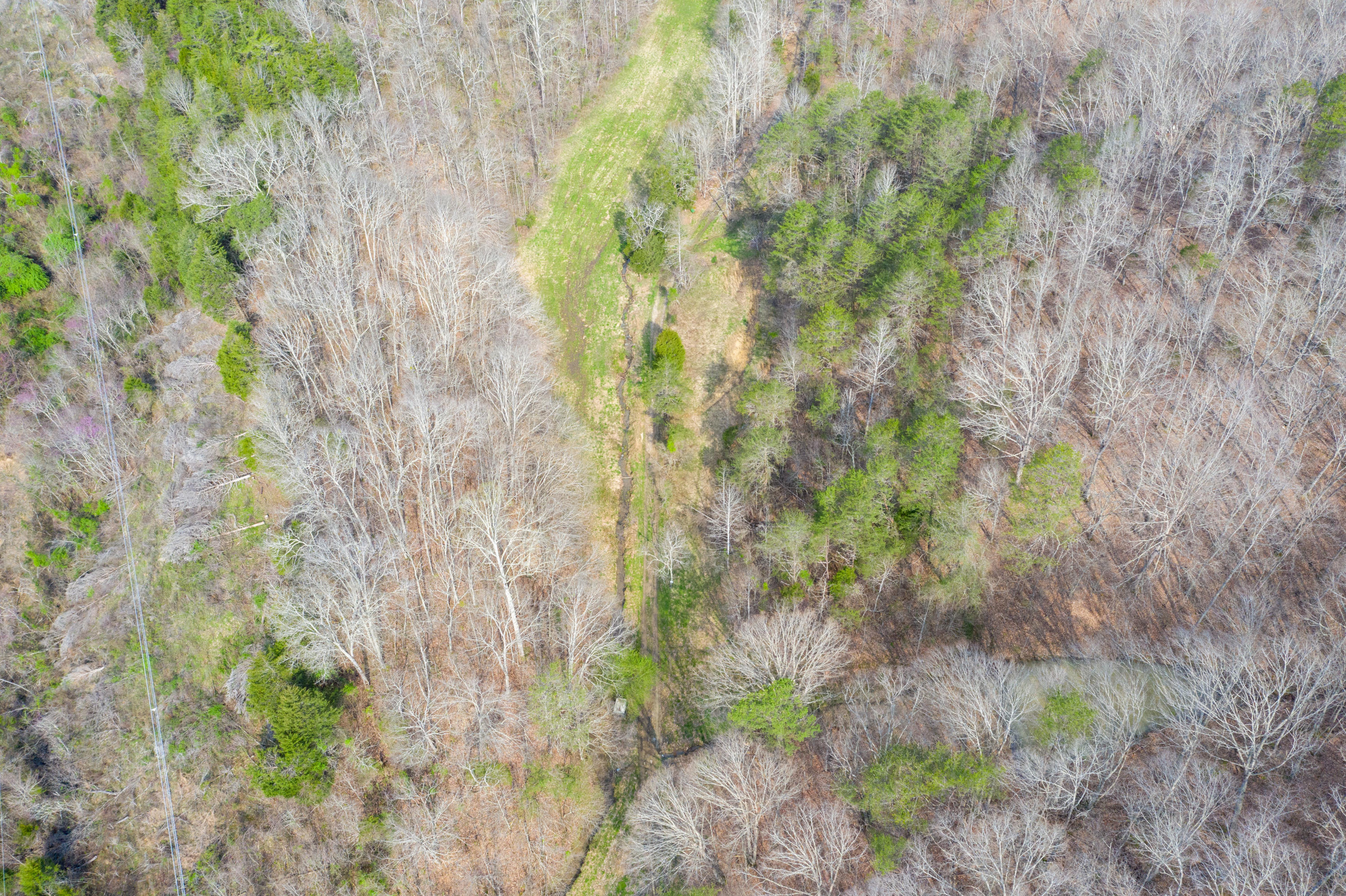 0 Bays Mtn Road Afton, TN 37616 - Photo 29 of 51 Baileyton Drone-30