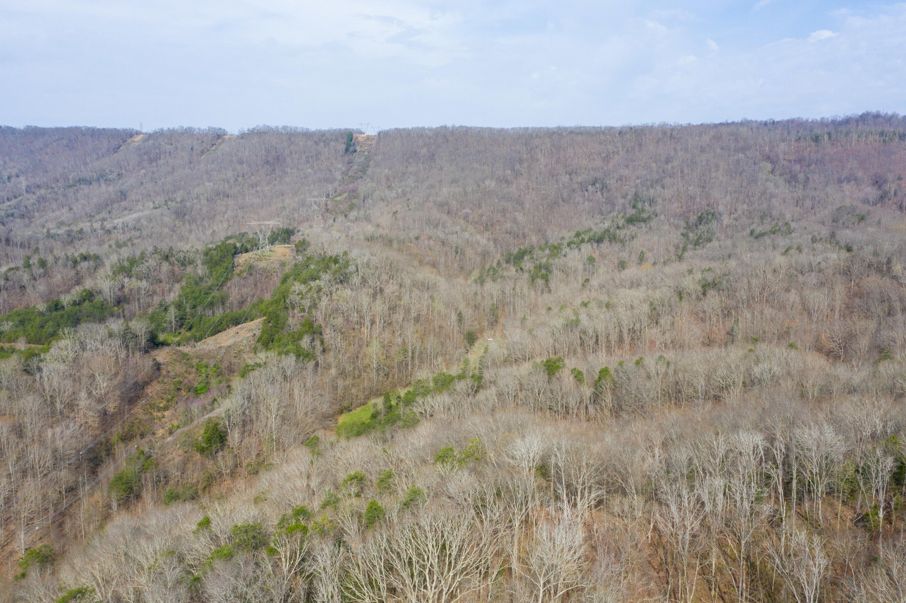 0 Bays Mtn Road Afton, TN 37616 - Photo 3 of 51 Baileyton Drone-3