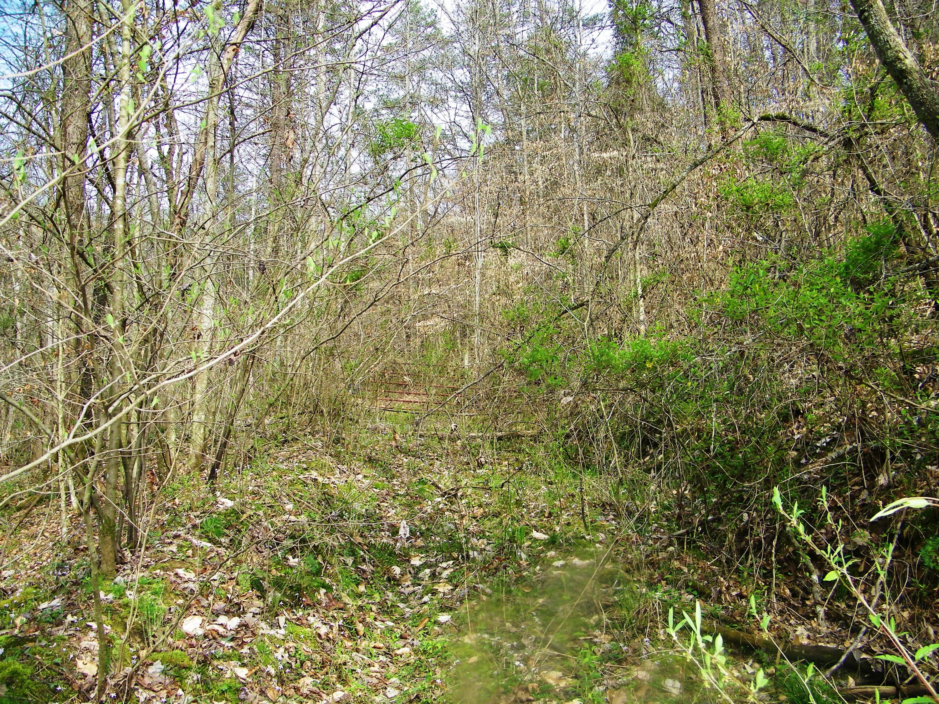 0 Bays Mtn Road Afton, TN 37616 - Photo 33 of 51 106_1527