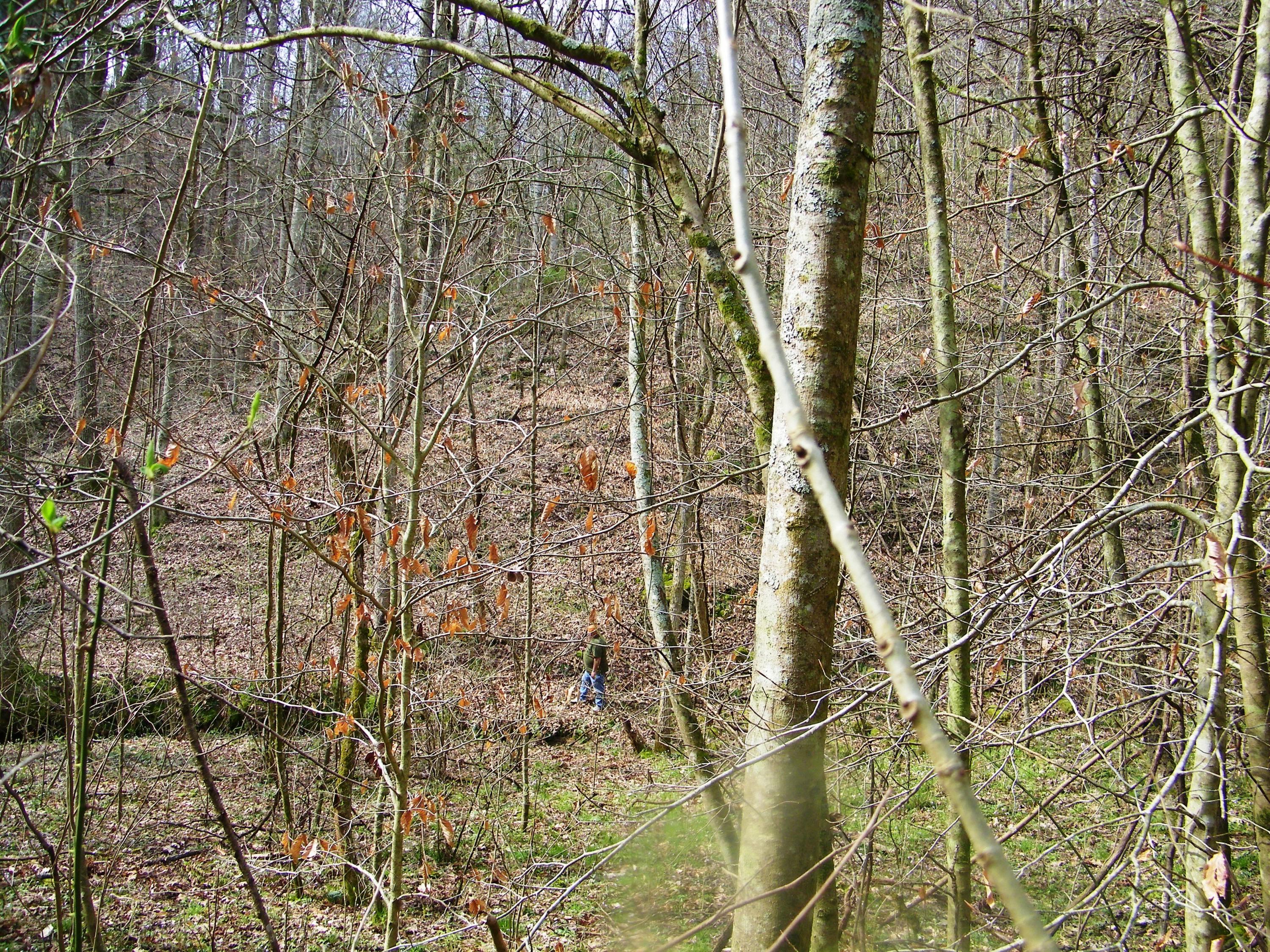0 Bays Mtn Road Afton, TN 37616 - Photo 34 of 51 106_1528