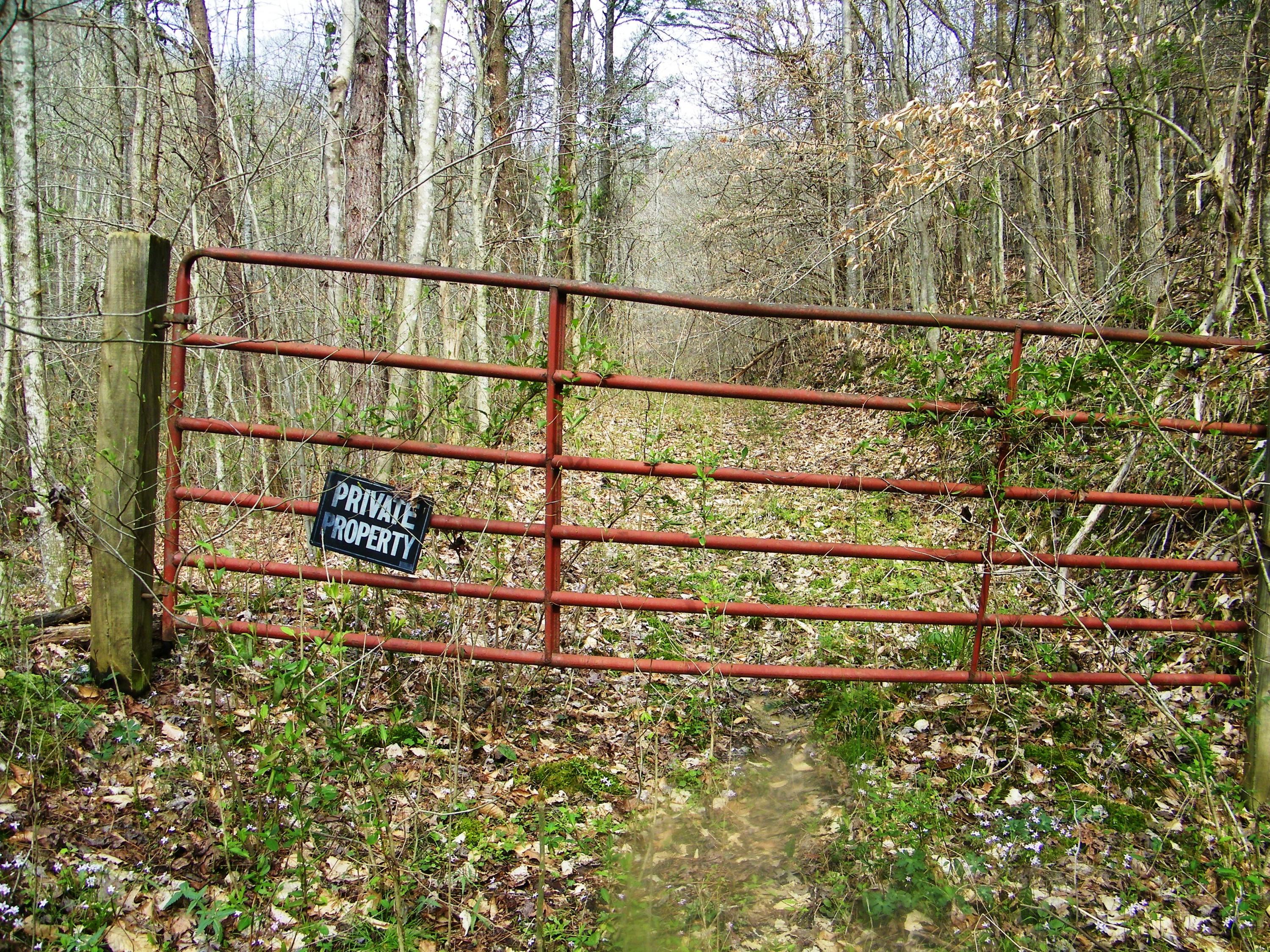 0 Bays Mtn Road Afton, TN 37616 - Photo 35 of 51 106_1529