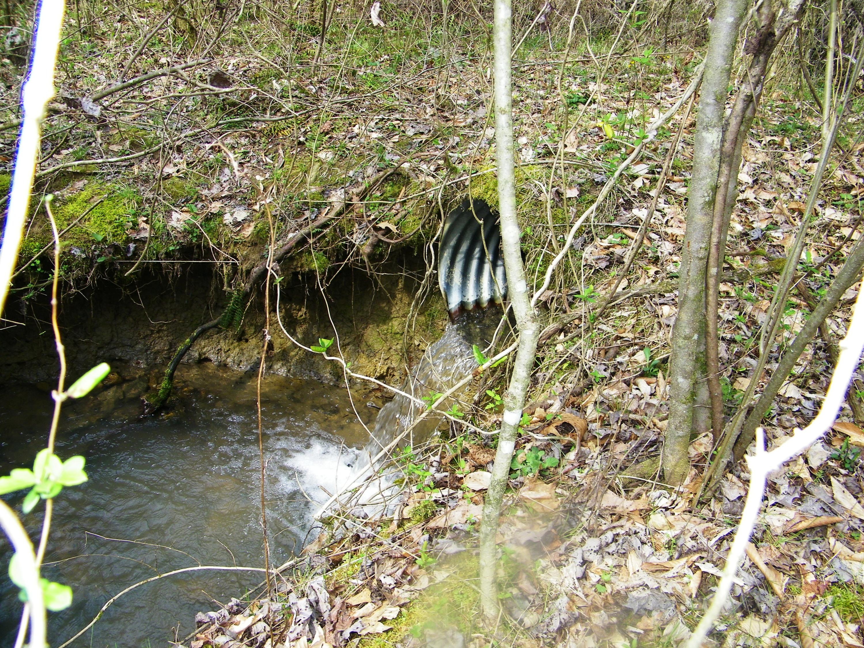 0 Bays Mtn Road Afton, TN 37616 - Photo 39 of 51 106_1540