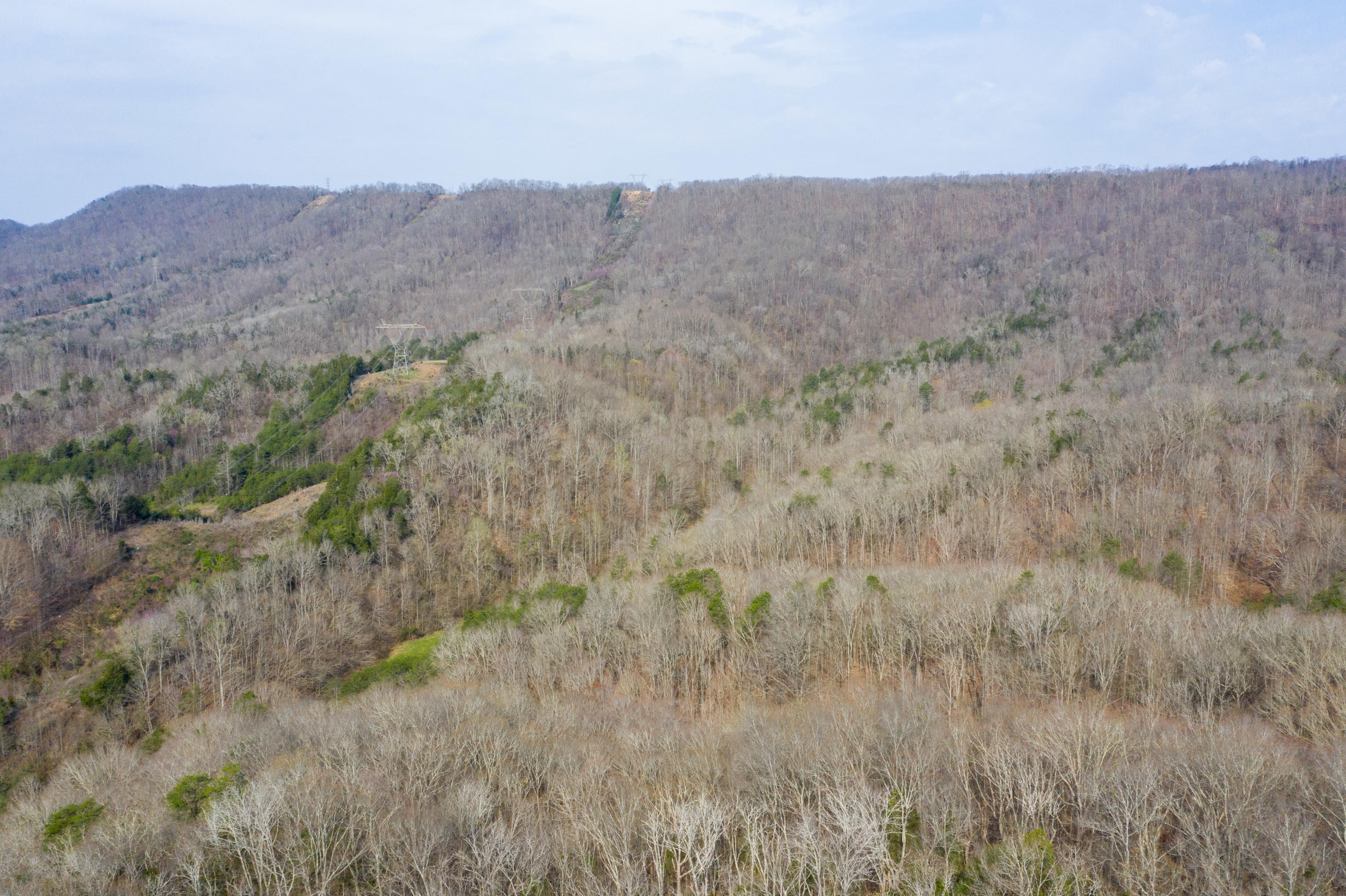 0 Bays Mtn Road Afton, TN 37616 - Photo 4 of 51 Baileyton Drone-4