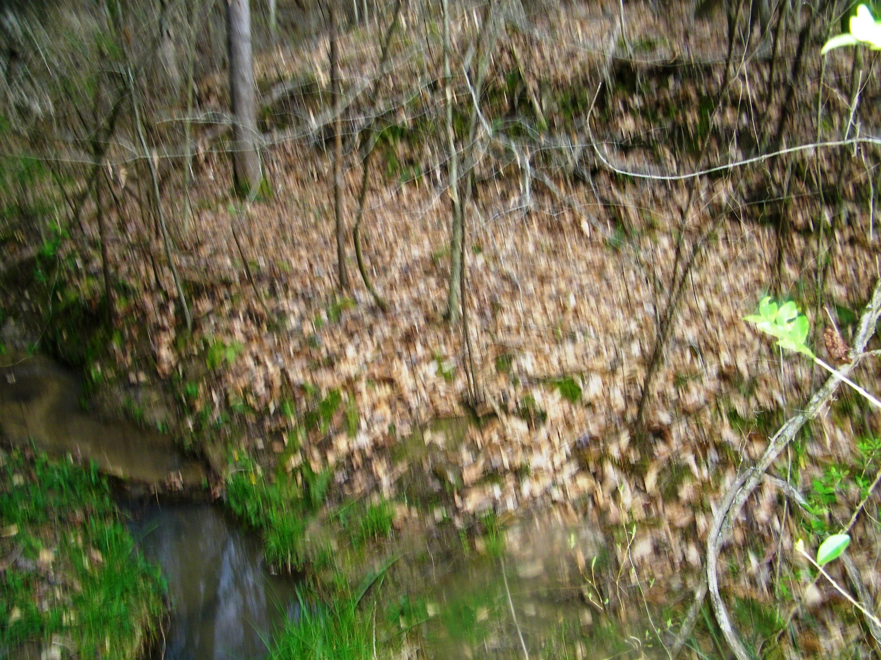 0 Bays Mtn Road Afton, TN 37616 - Photo 41 of 51 106_1542