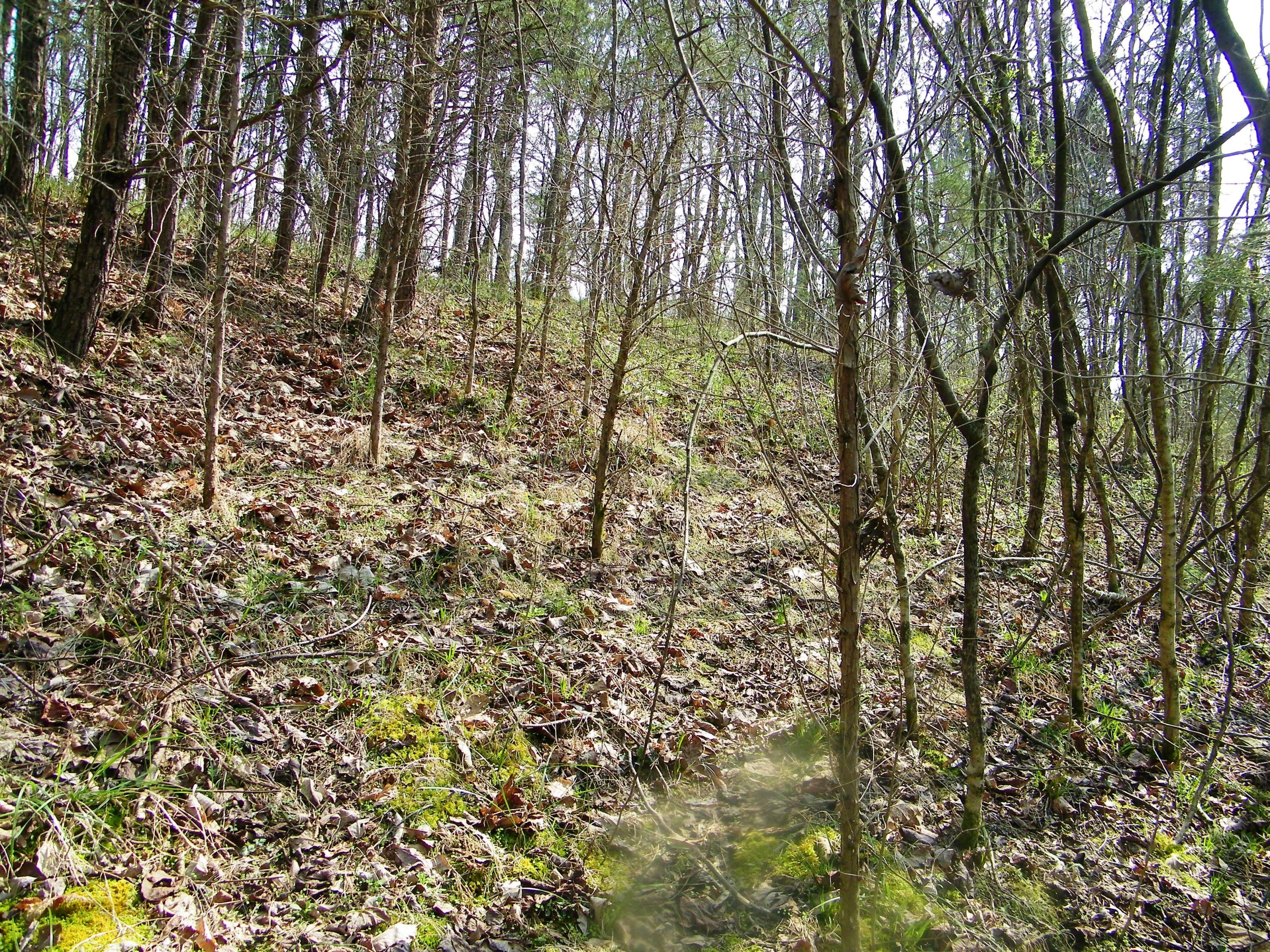 0 Bays Mtn Road Afton, TN 37616 - Photo 44 of 51 106_1548