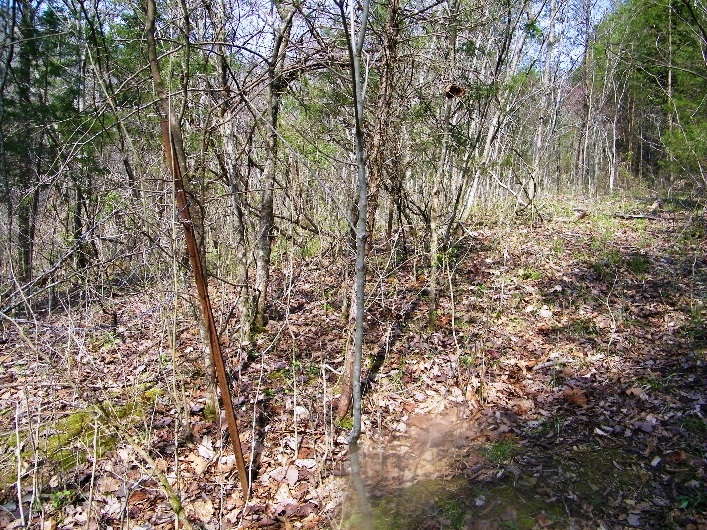 0 Bays Mtn Road Afton, TN 37616 - Photo 47 of 51 106_1555