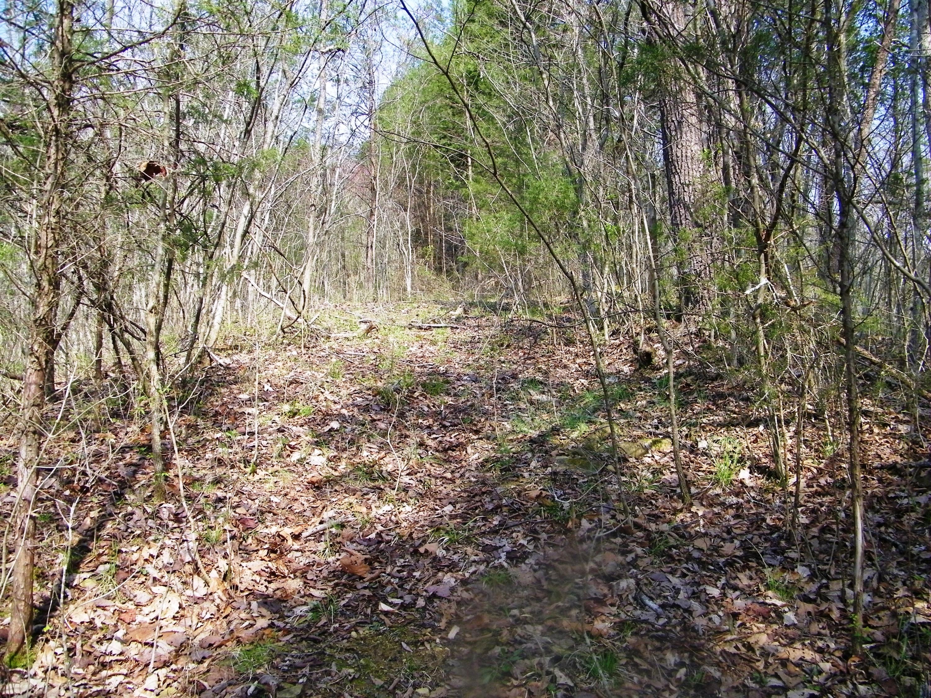 0 Bays Mtn Road Afton, TN 37616 - Photo 48 of 51 106_1556
