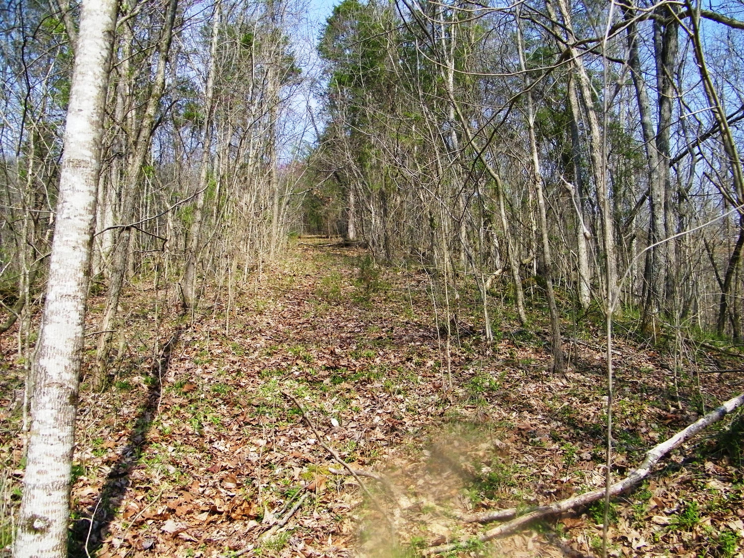 0 Bays Mtn Road Afton, TN 37616 - Photo 50 of 51 106_1560