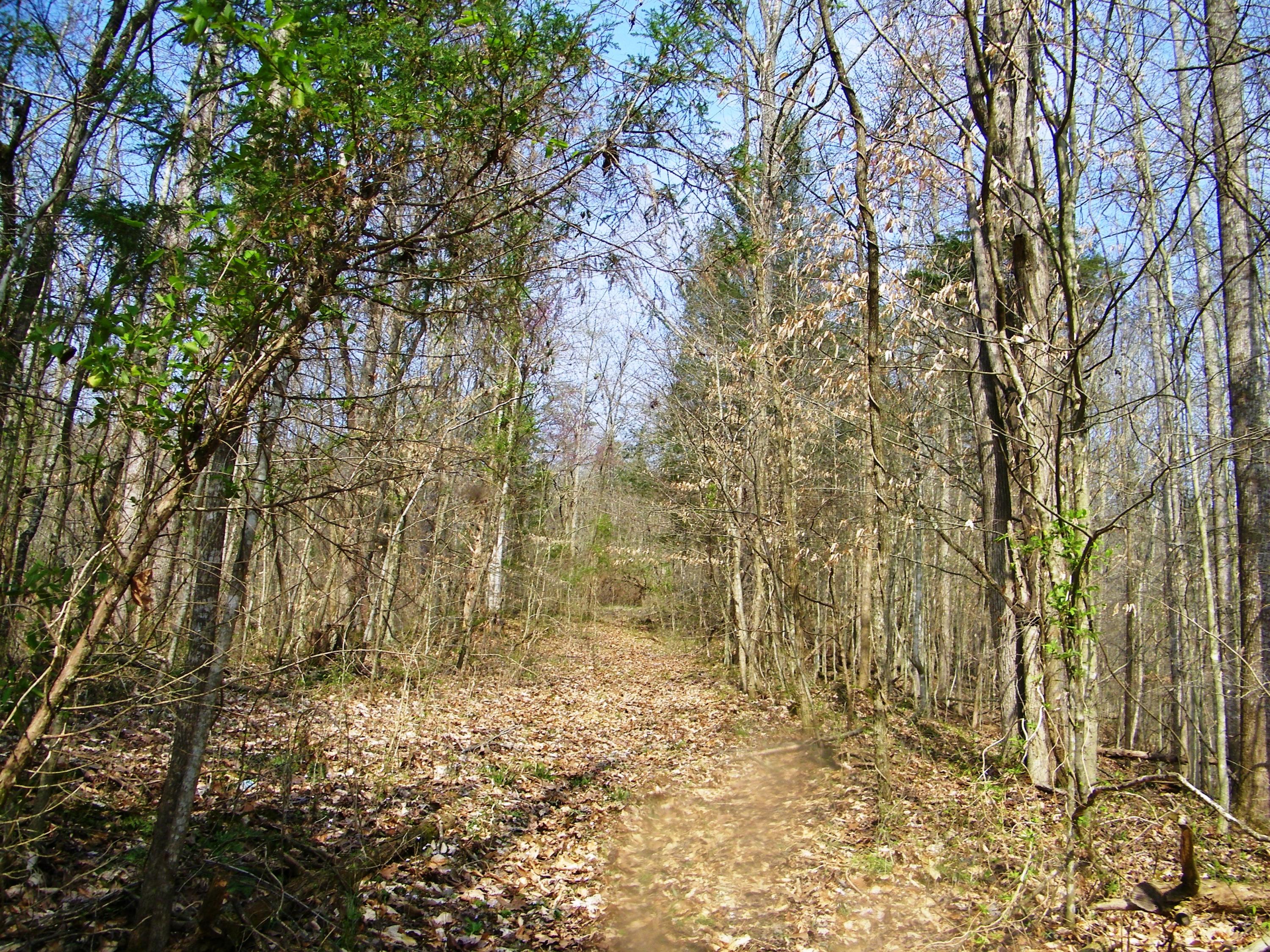 0 Bays Mtn Road Afton, TN 37616 - Photo 51 of 51 106_1561