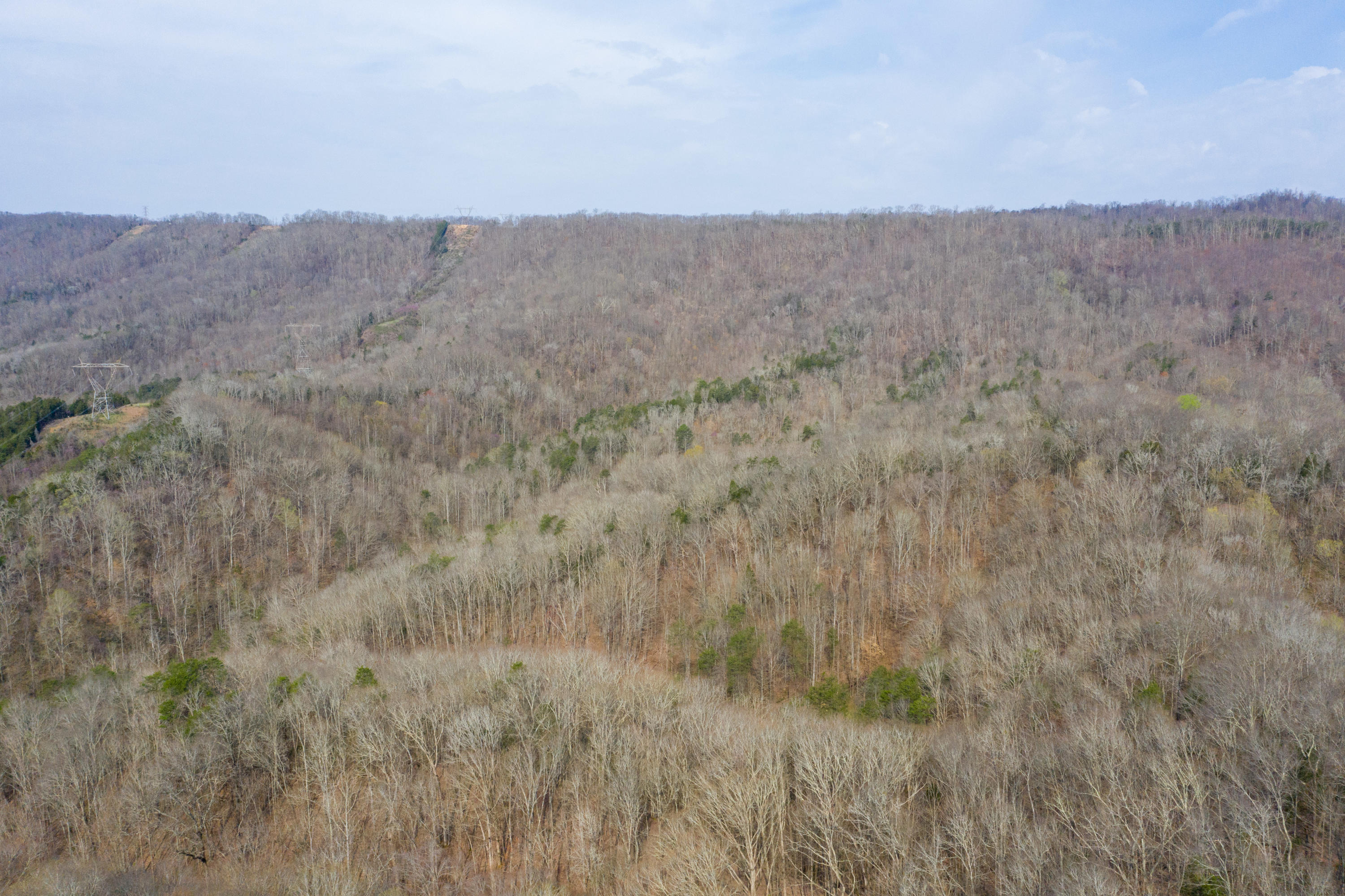 0 Bays Mtn Road Afton, TN 37616 - Photo 6 of 51 Baileyton Drone-7