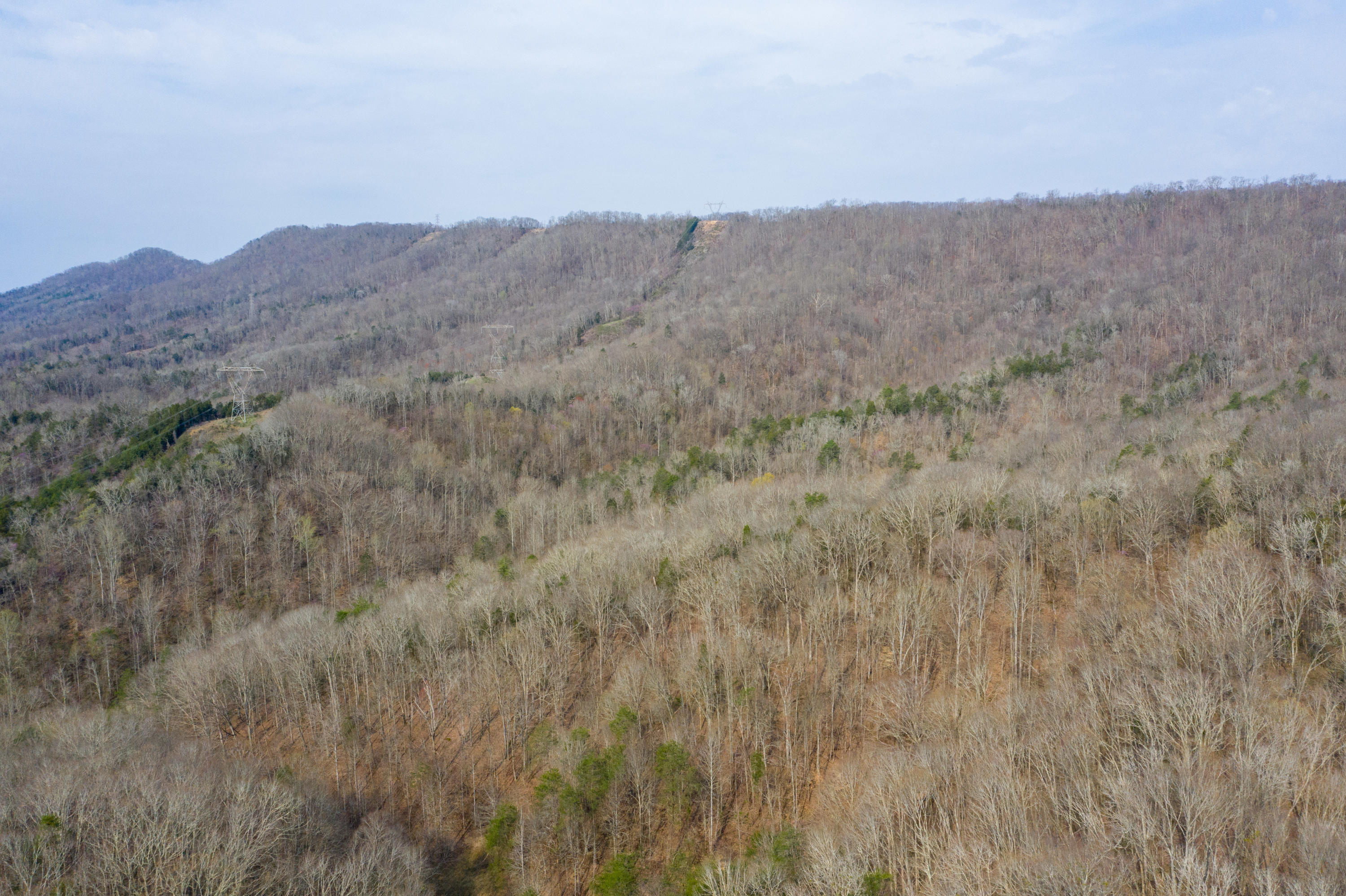 0 Bays Mtn Road Afton, TN 37616 - Photo 7 of 51 Baileyton Drone-8