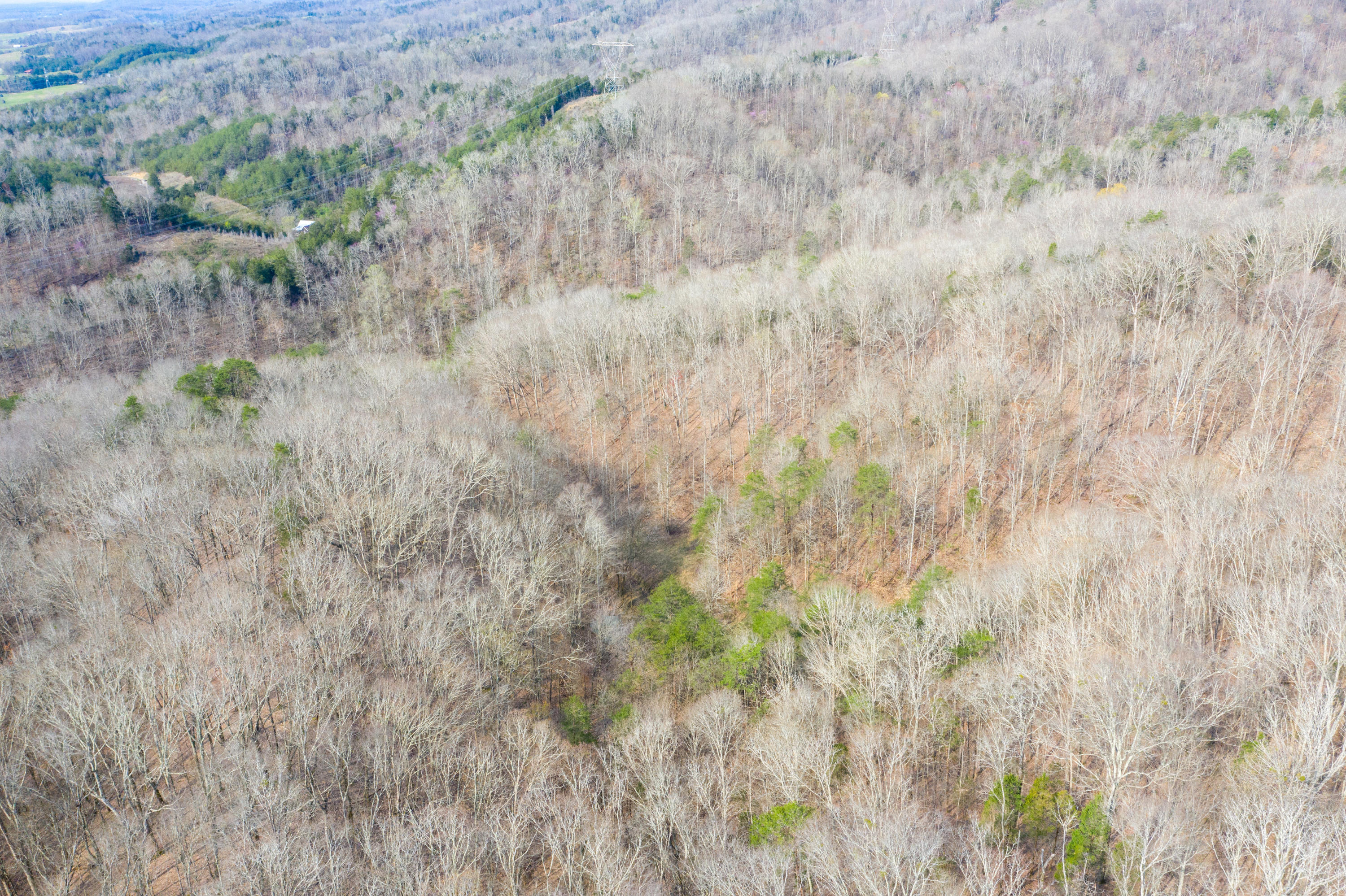 0 Bays Mtn Road Afton, TN 37616 - Photo 8 of 51 Baileyton Drone-9