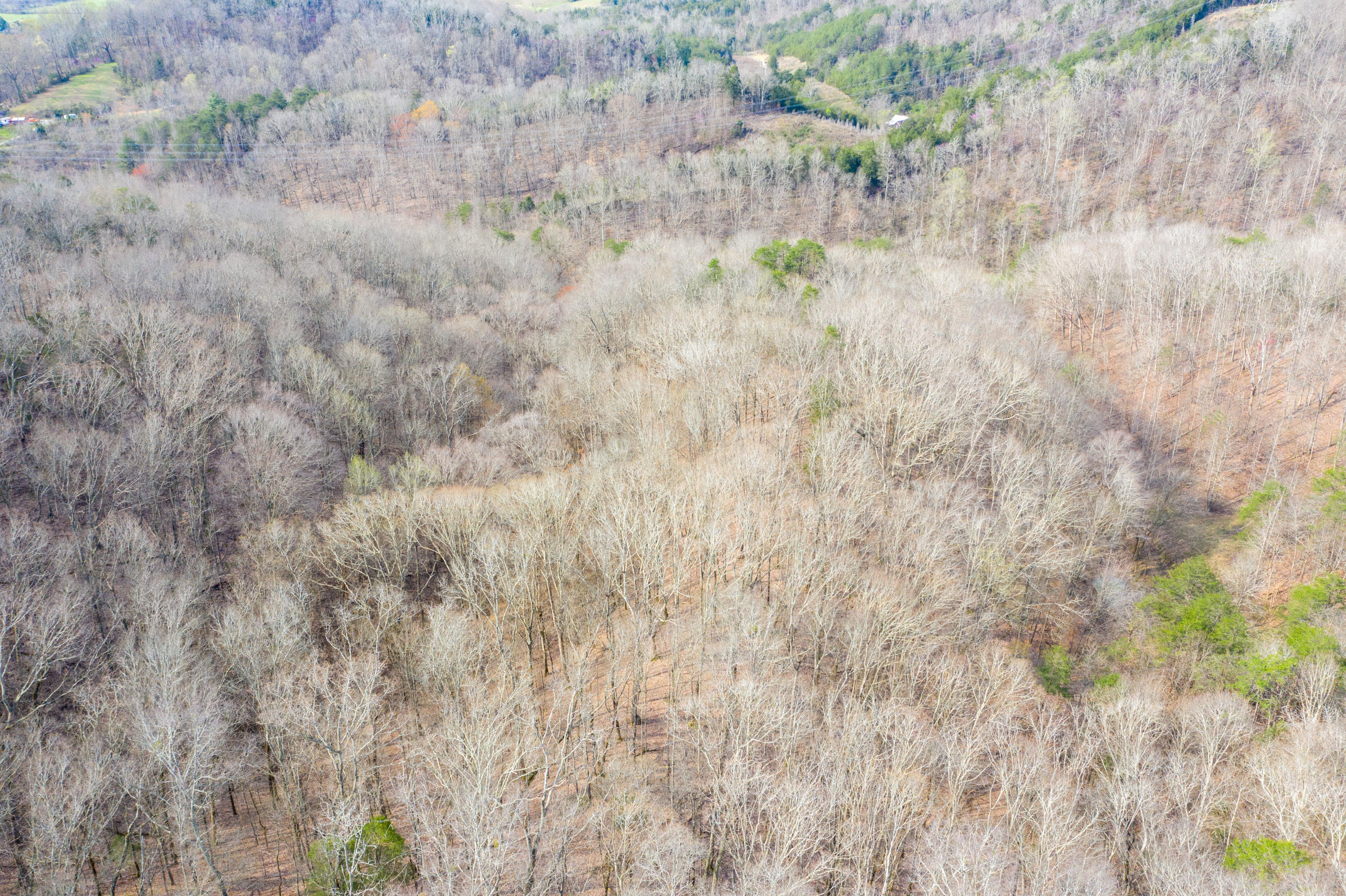 0 Bays Mtn Road Afton, TN 37616 - Photo 9 of 51 Baileyton Drone-10