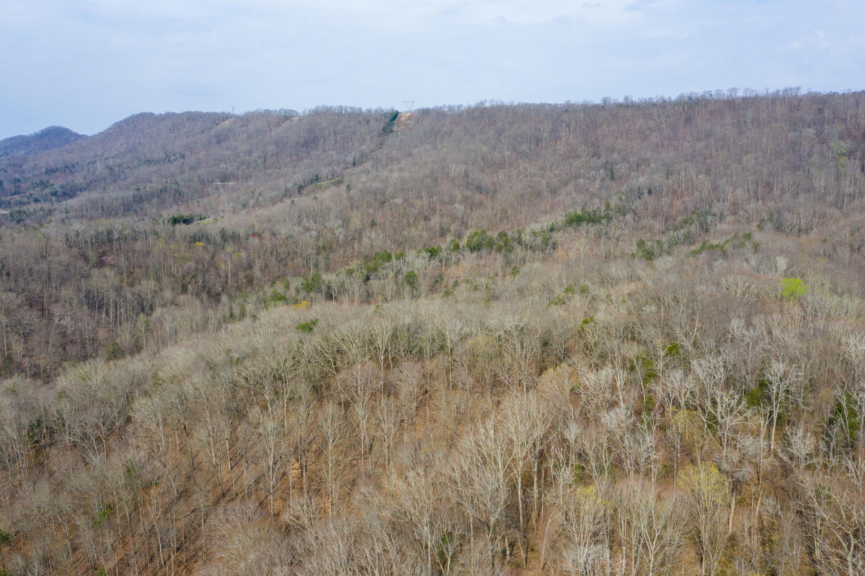 0 Bays Mtn Road Afton, TN 37616 - Photo 10 of 51 Baileyton Drone-11