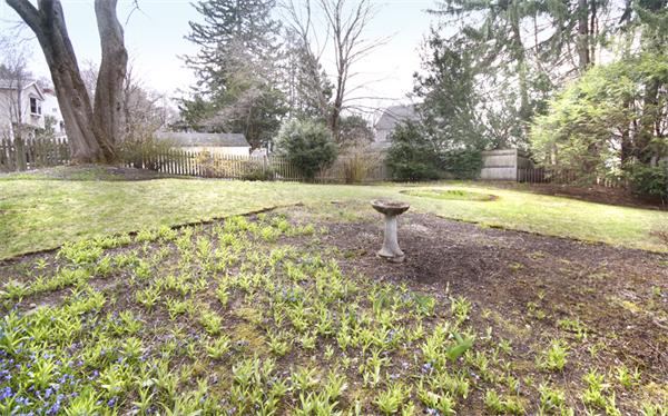 5 Marshall Road Winchester, MA 01890 - Photo 21 of 22 a view of a yard with plants and trees