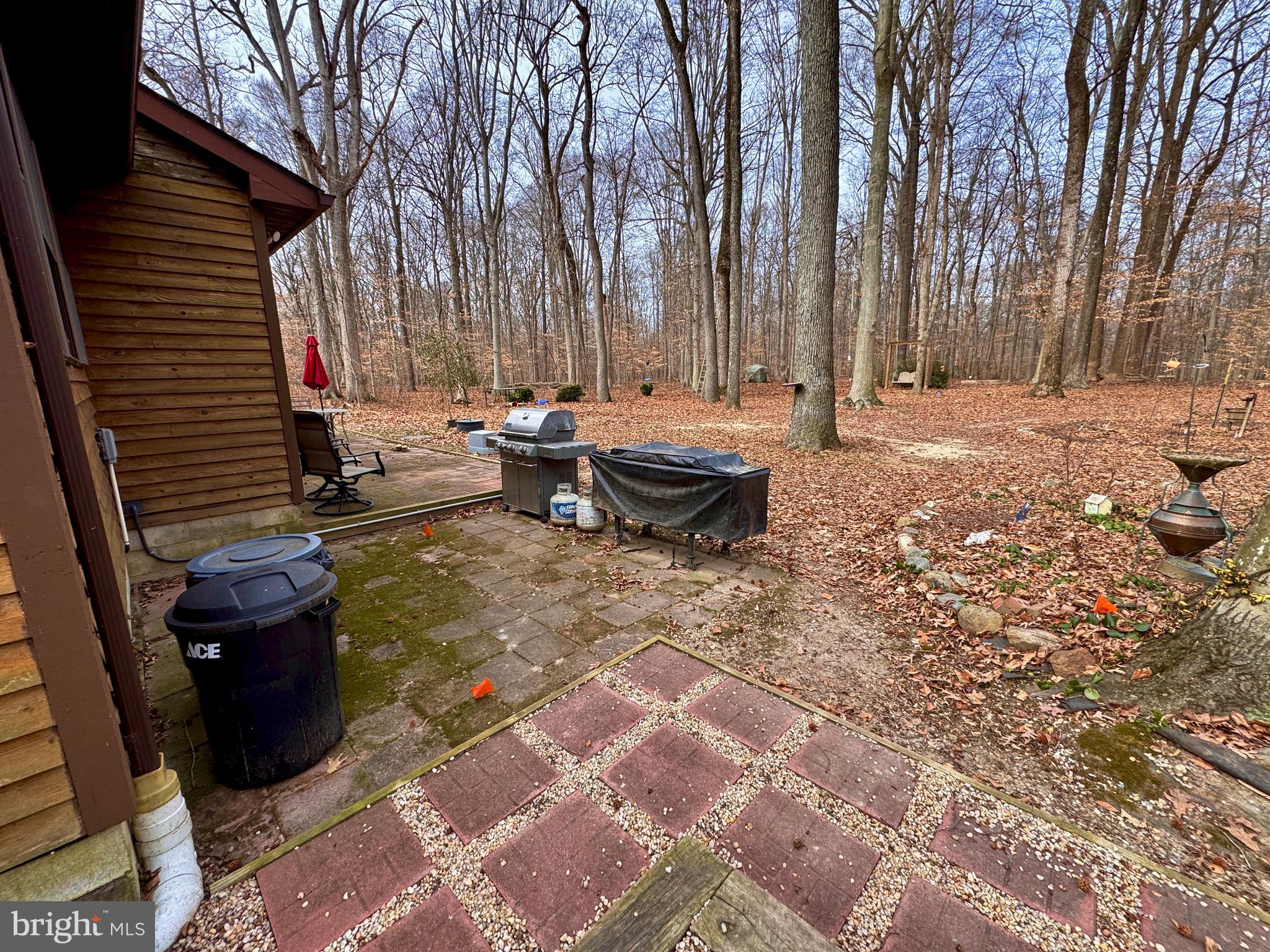 241 White Marsh Road Centreville, MD 21617 - Photo 33 of 47