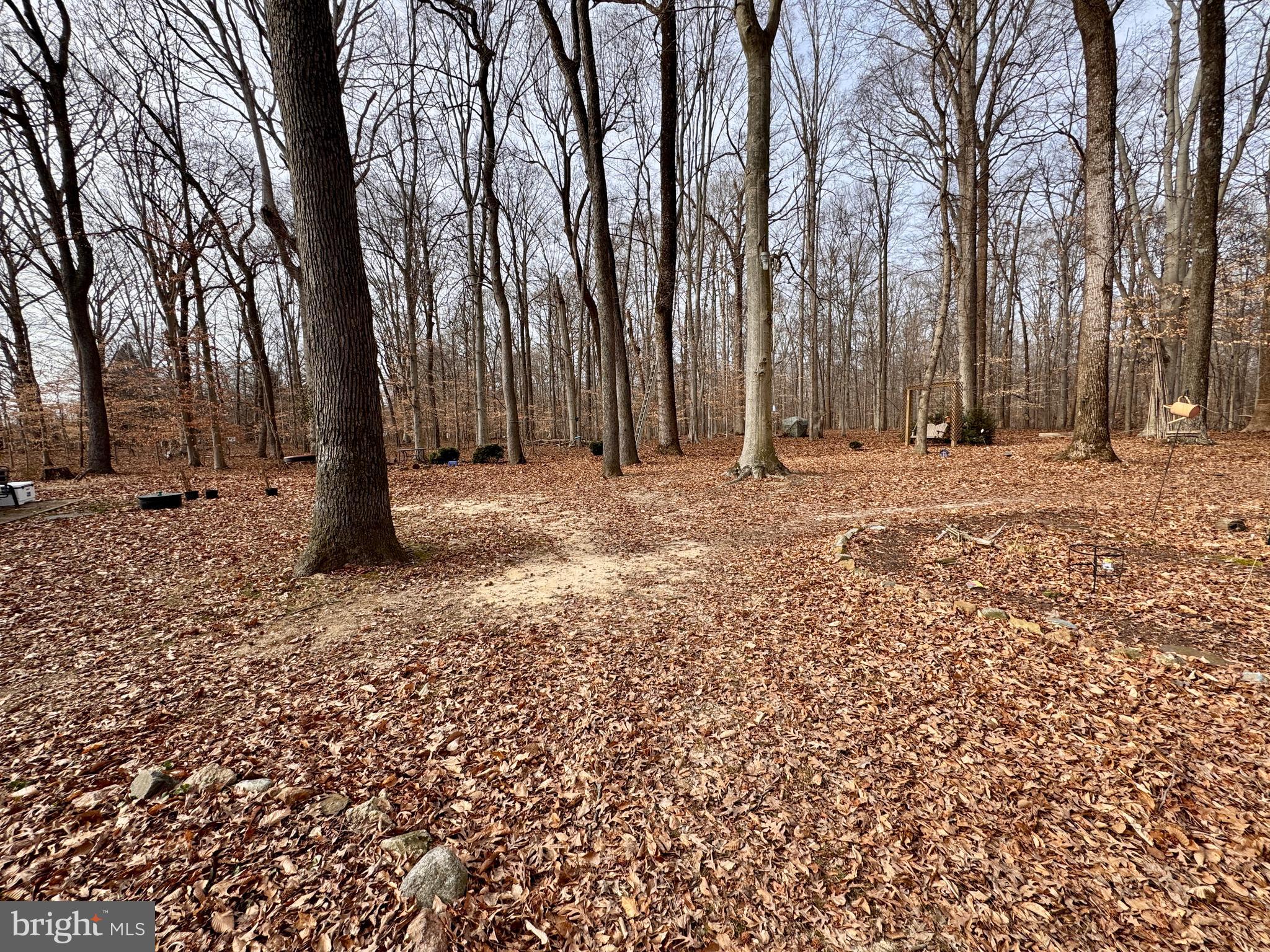 241 White Marsh Road Centreville, MD 21617 - Photo 36 of 47