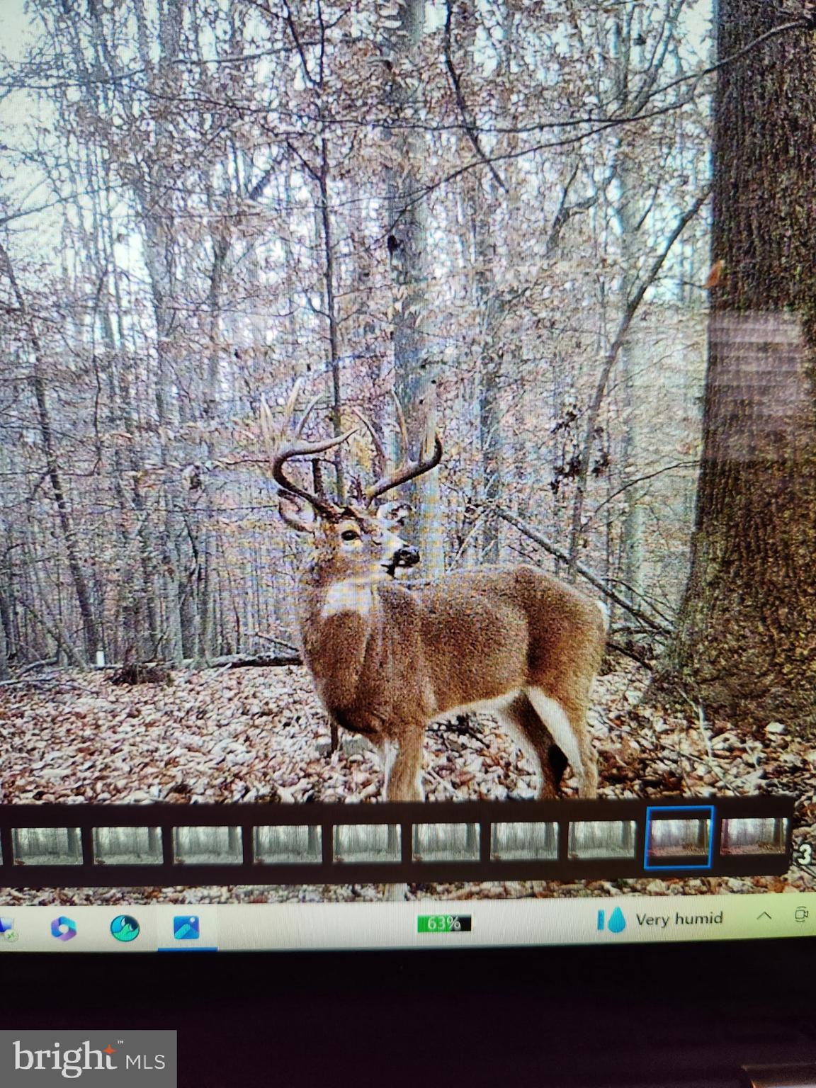 241 White Marsh Road Centreville, MD 21617 - Photo 41 of 47