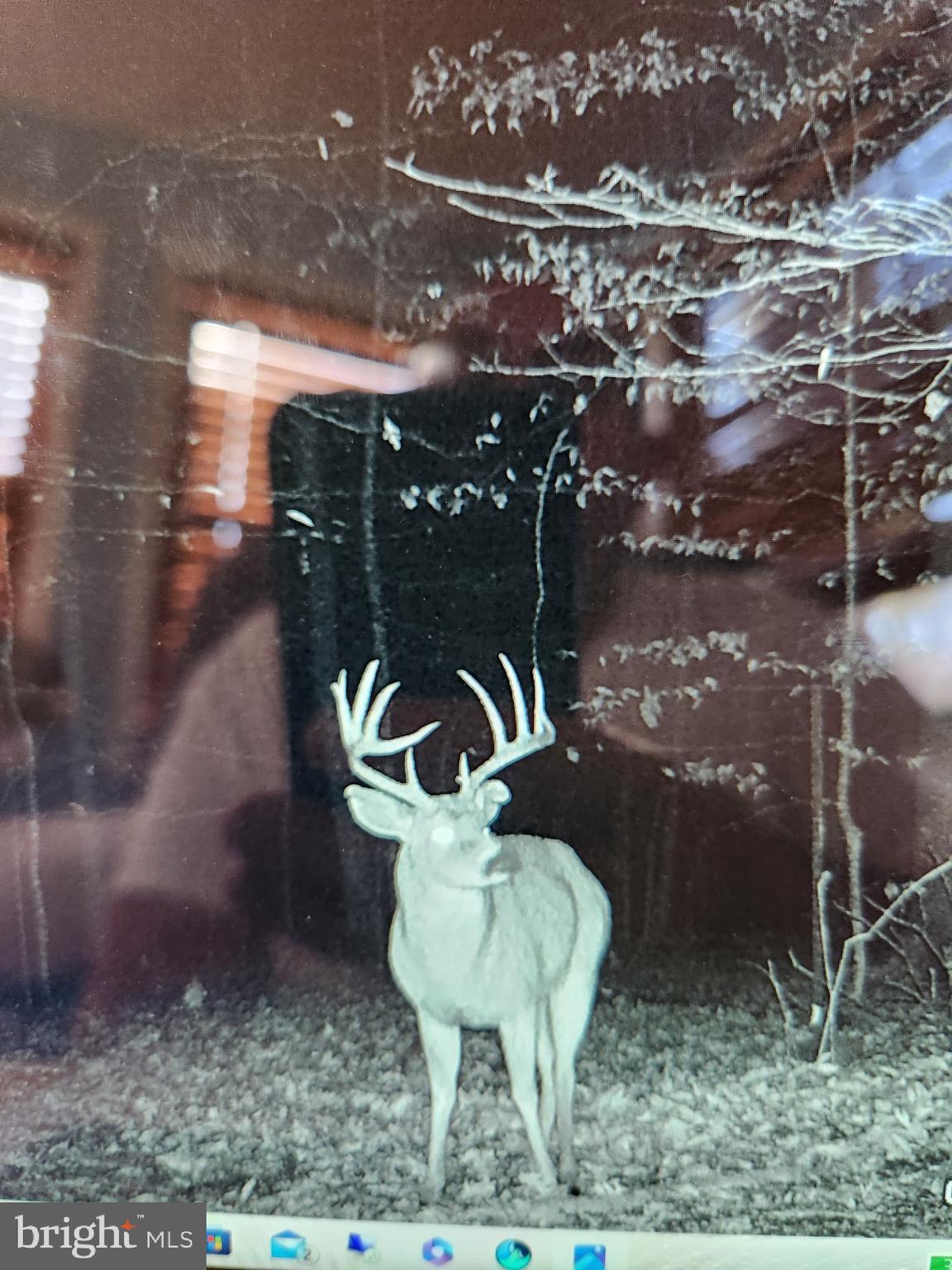 241 White Marsh Road Centreville, MD 21617 - Photo 42 of 47