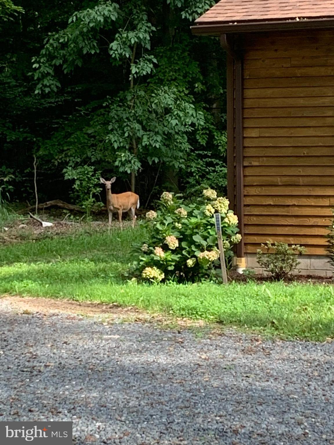 241 White Marsh Road Centreville, MD 21617 - Photo 43 of 47