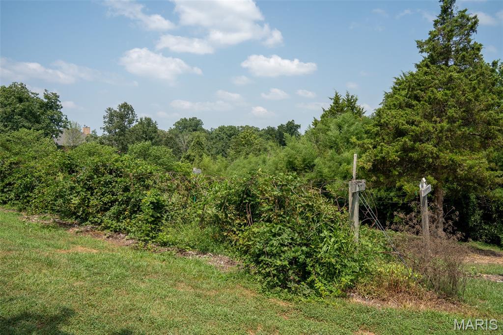 2073 Hickory Ridge Road Union, MO 63084 - Photo 77 of 95