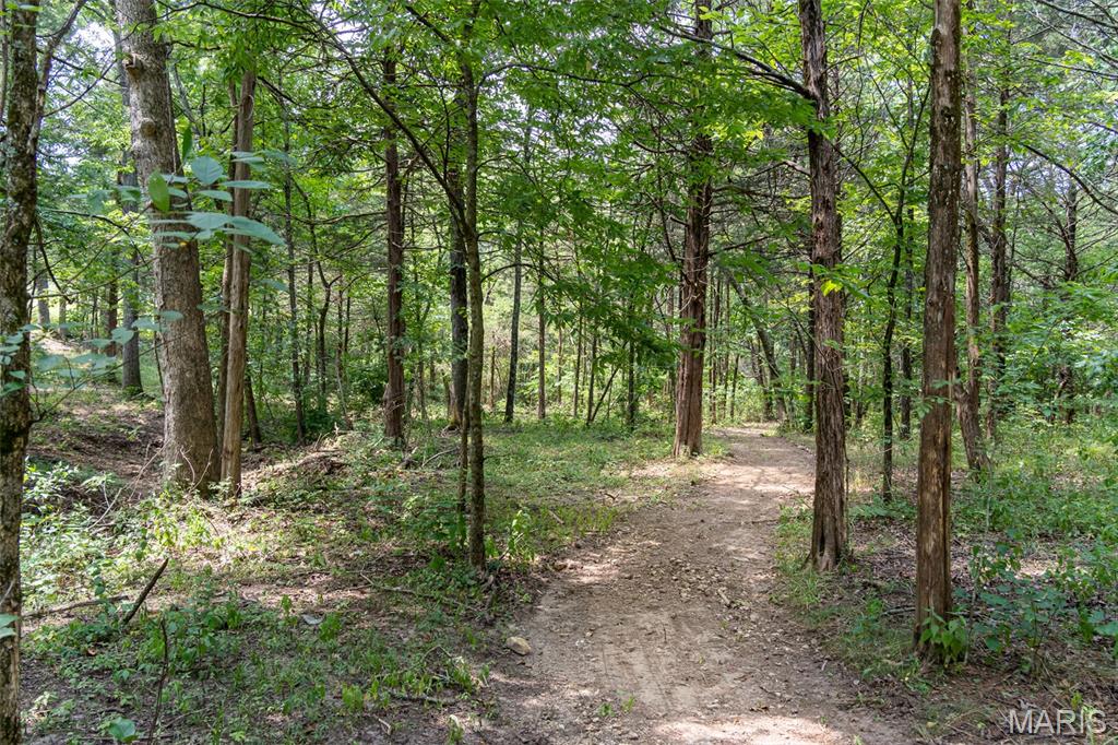 2073 Hickory Ridge Road Union, MO 63084 - Photo 81 of 95