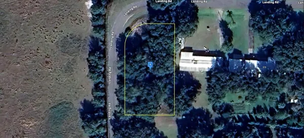 a view of a yard
