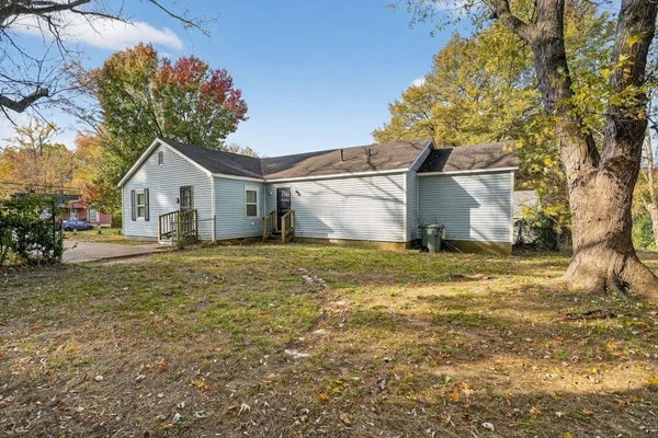 a view of a yard with a tree