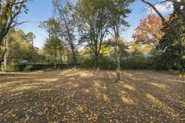 a view of a field with trees in front of it