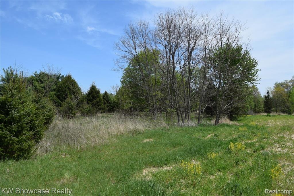 V/l McClements Road Brighton, MI 48114 - Photo 3 of 7