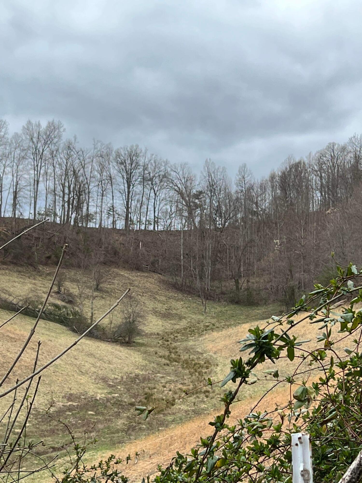 1 Dunn Road Campton, KY 41301 - Photo 23 of 69 IMG_7958
