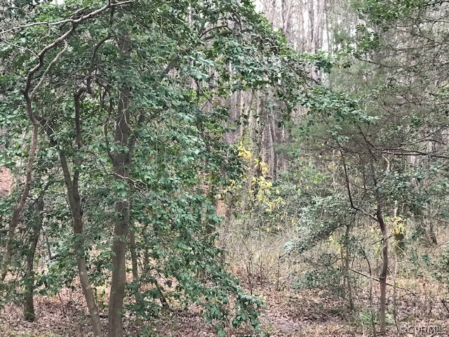 0 Lee's Landing Road Powhatan, VA 23139 - Photo 1 of 4 Gallery Image 1