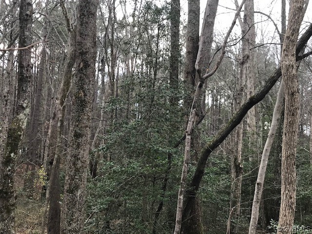 0 Lee's Landing Road Powhatan, VA 23139 - Photo 2 of 4 Gallery Image 2