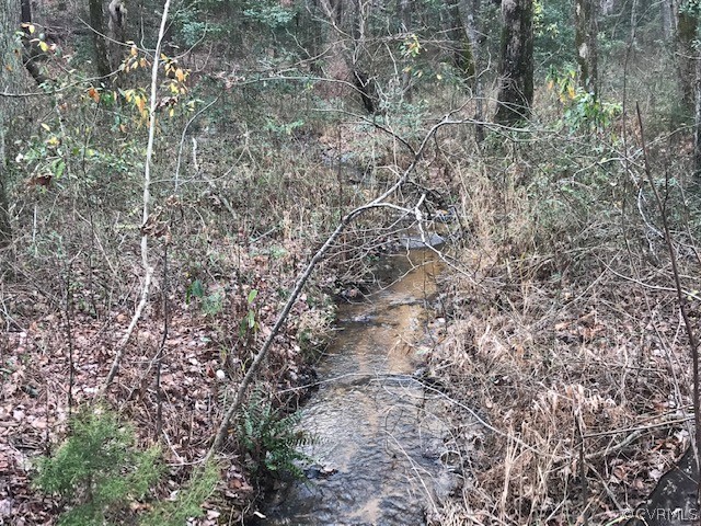 0 Lee's Landing Road Powhatan, VA 23139 - Photo 3 of 4 Gallery Image 3