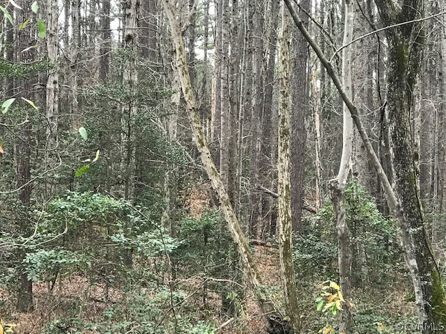 0 Lee's Landing Road Powhatan, VA 23139 - Photo 4 of 4 Gallery Image 4
