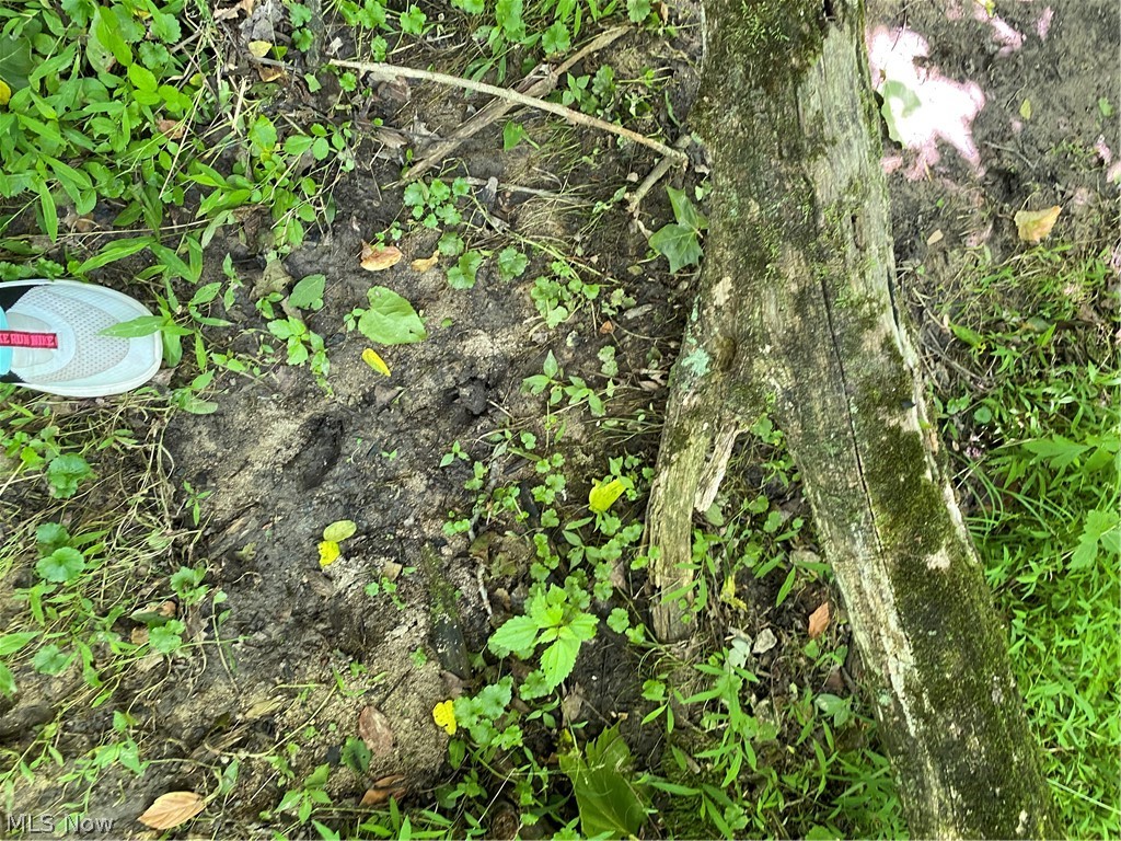 Ashton Hill Road Caldwell, OH 43724 - Photo 21 of 26