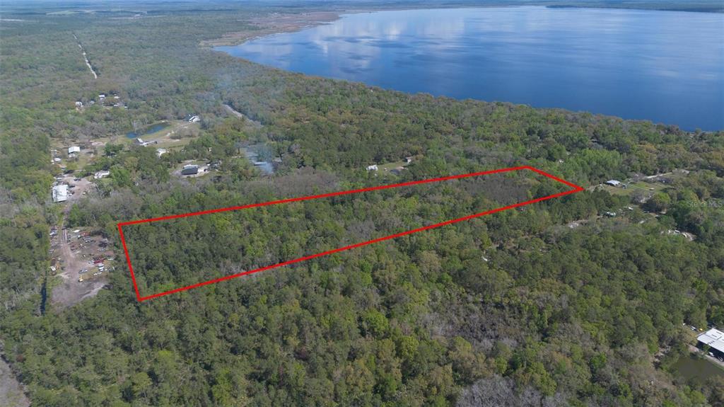 Jungle Road Geneva, FL 32732 - Photo 3 of 21